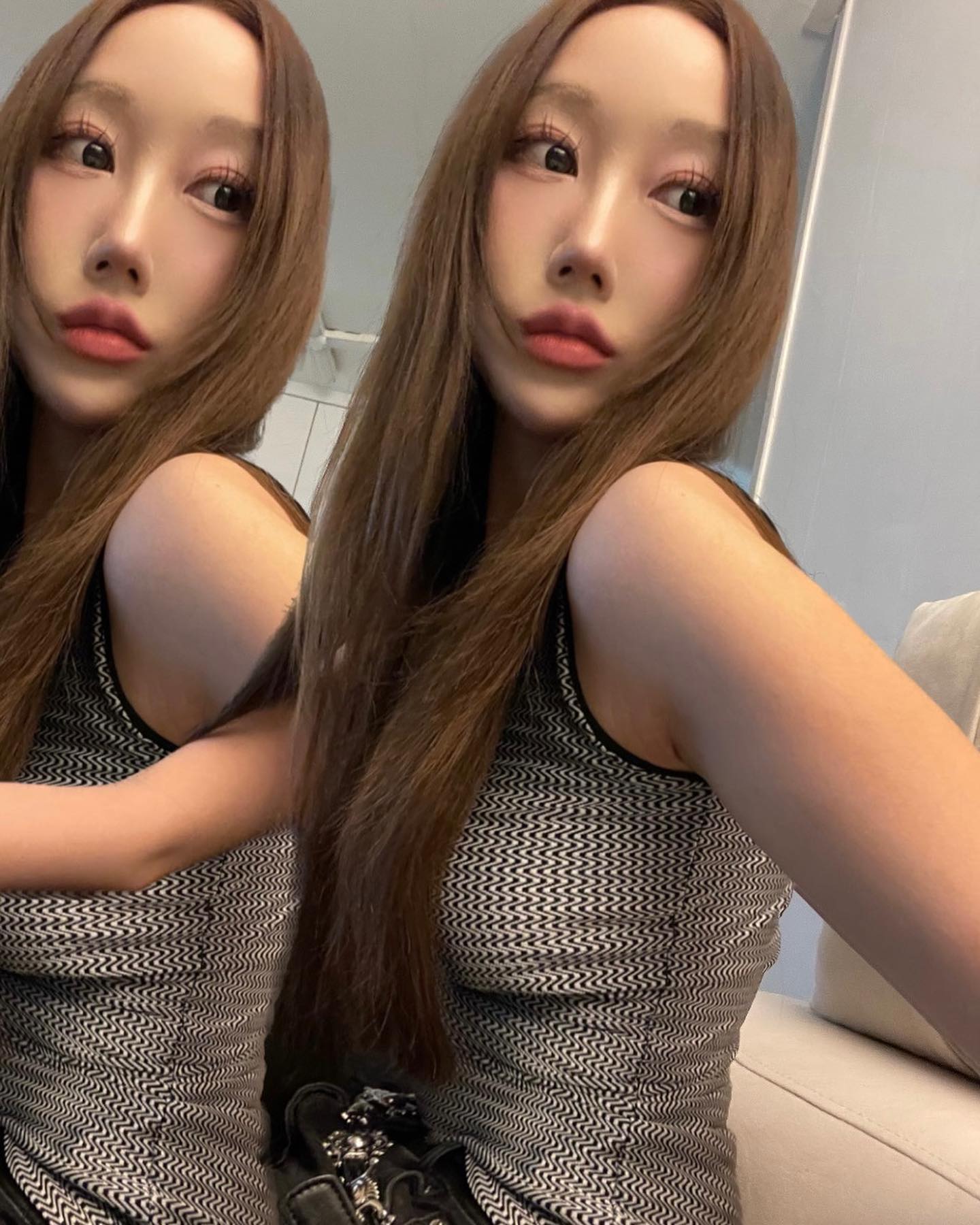 강아지 체고