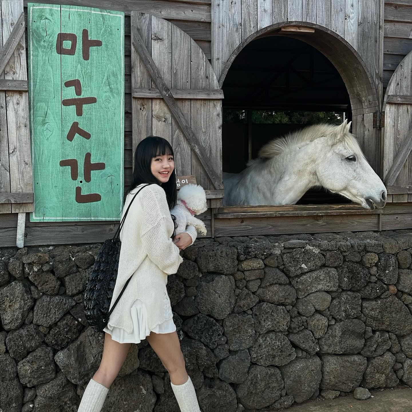 안녕 동물팅9들~