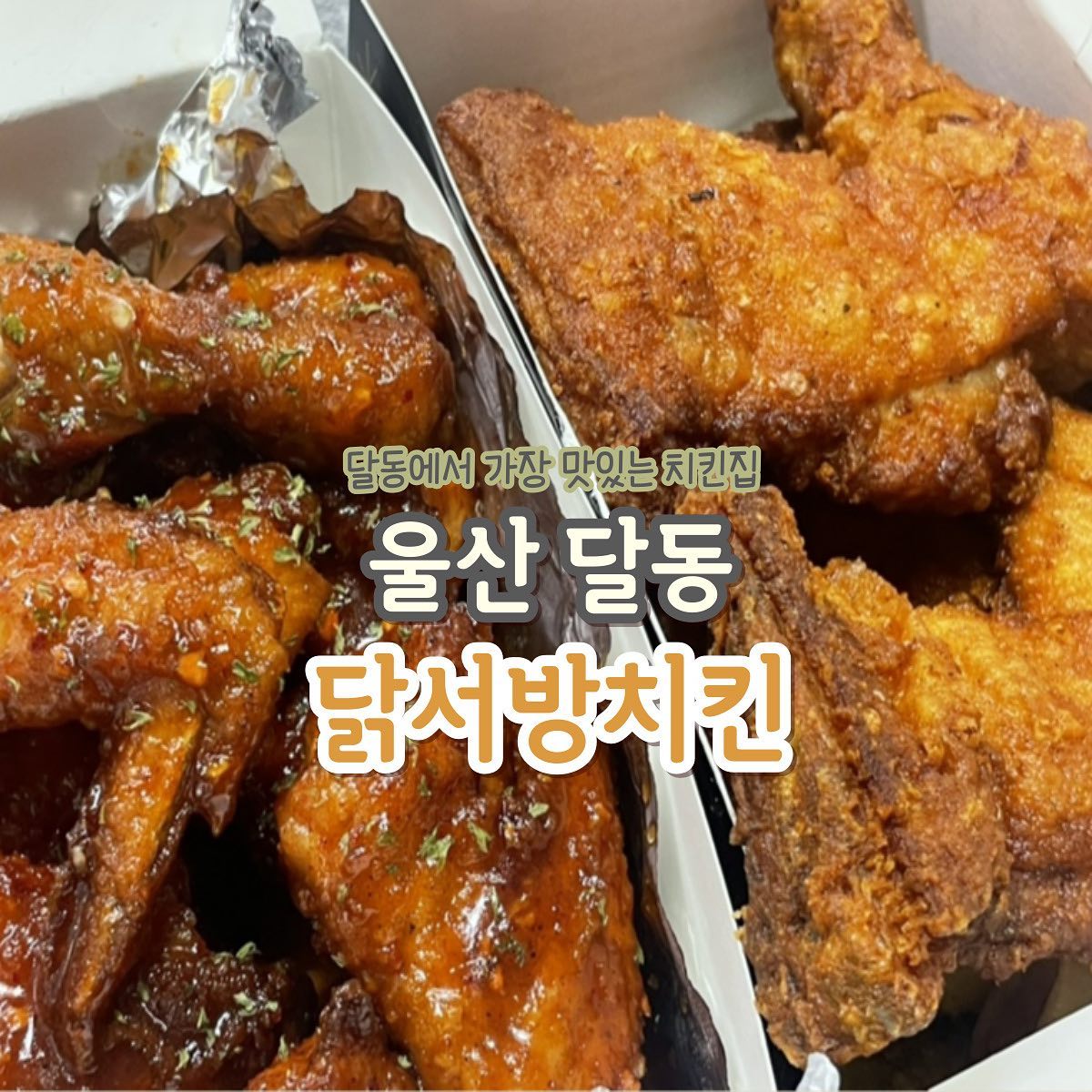 #응지랑_울산

닭서방치킨
🏡 주 소 :  울산 남구 신정로87번길 28
⏰ 영업시간 : 매일 05:00 ~ 05:00
🚫 정기휴무 : 연중무휴
📞 전화번호 : 0507-1397-5890
🚗 주 차 장 : 가게 앞 잠시 주차가능

후라이드치킨
와 저 진짜 통다리 이렇게 튀김 맛있는거
처음먹어봤어요 진짜로 (부모님 포함해서)
완전 바삭바삭하고 육질도 진짜 너무 부드럽고
그렇다고 육즙이 없는것도 아니에요 미쳤음
비슷한 치킨은 달고 짠 맛이 강했는데
후라이드 진짜 닭서방치킨 인정합니다👏👏

양념치킨
저희 부모님은 사실은 양념보다는 후라이드를
더 즐겨드시거나 아니면 간장을 드시는 편인데
이유가 너무 달거나 맵거나해서 그렇거든요
닭서방치킨은 일단 양념 자체가 달지않는데
그런데 감칠맛이 진짜 너무너무 좋았다니까요
양념 소스도 많아서 찍어먹을 수 있는게 장점👍👍

#울산맛집 #맞팔 #맞좋 #언팔은언팔 #먹스타그램 #울산카페 #먹팔맛팔 #맛스타그램 #먹스타맞팔 #울산맛집추천 #먹팔맛팔 #울산밥집추천 #먹팔 #좋아요 #좋반 #맞좋팔 #먹방스타그램 #울산술집 #울산 #맛집 #울산핫플 #울산가볼만한곳 #울산데이트코스 #닭서방치킨 #달동배달맛집 #달동닭서방치킨