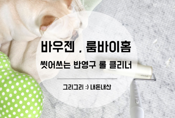 바우젠 , 룸바이홈 ) 씻어쓰는 반영구 롤클리너
