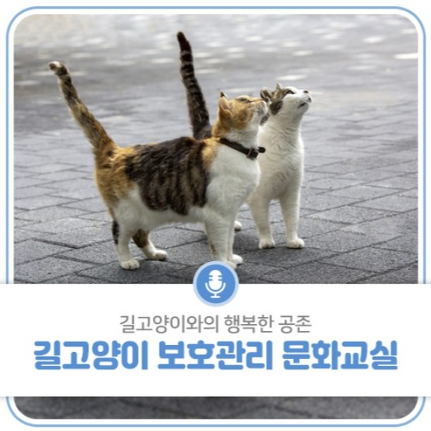 [공유] 고양이를 사랑하고, 길고양이를 올바르게 돌보는 방법에 관심있는 분들이라면 신청해보세요! 
온라인/오프라인 다 신청 가능해서 타지역분들도 신청가능하답니다. 
광주 : 2024년 8월 24일 (토) 13:00-16:30 

광주광역시 외에도 충북 청주(8/17), 세종특별시(8/31) 일정도 있으니 자세한 내용과 신청은 동물사랑배움터를 참고해주세요!