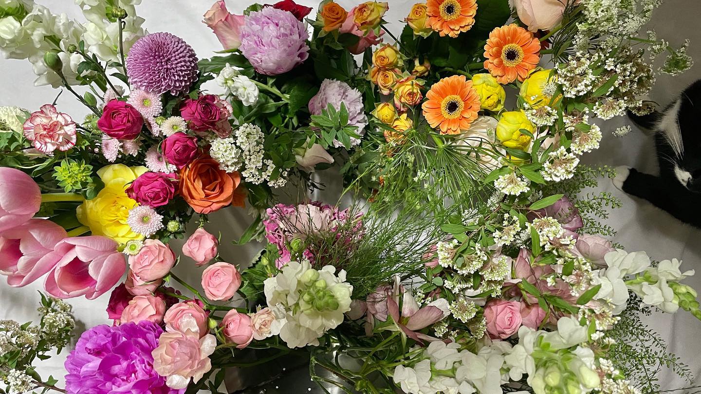 그리고 무슨 말이 더 필요하겠어요 그저 •• my hero 들 •• #졸업연주회 에 이렇게 멋진 연주자들과 💐✨✨ 저의 음악을 많은 사람들에게 들려줄 수 있다는 건 ! 정말 잊지 못할 순간 ! 이예요

♫ 그러니까 “나의 사랑, 내 어여쁜 자야 일어나서 함께 가자“