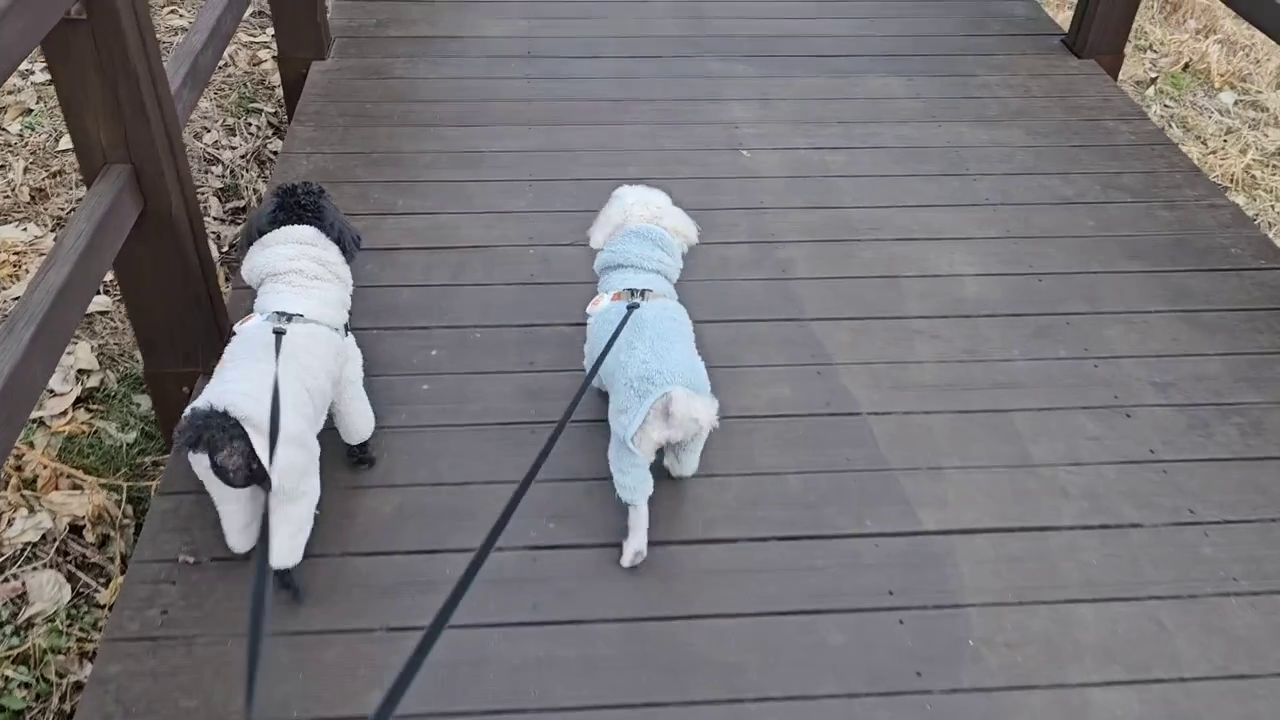 햅삐햅삐🧡