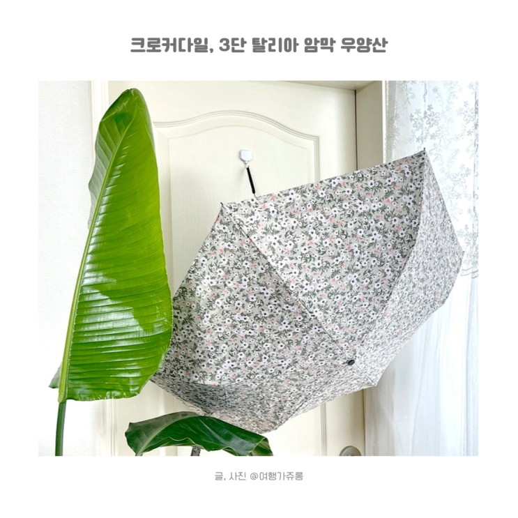 우양산 여름에 찾게 되는 크로커다일 가벼운 암막양산