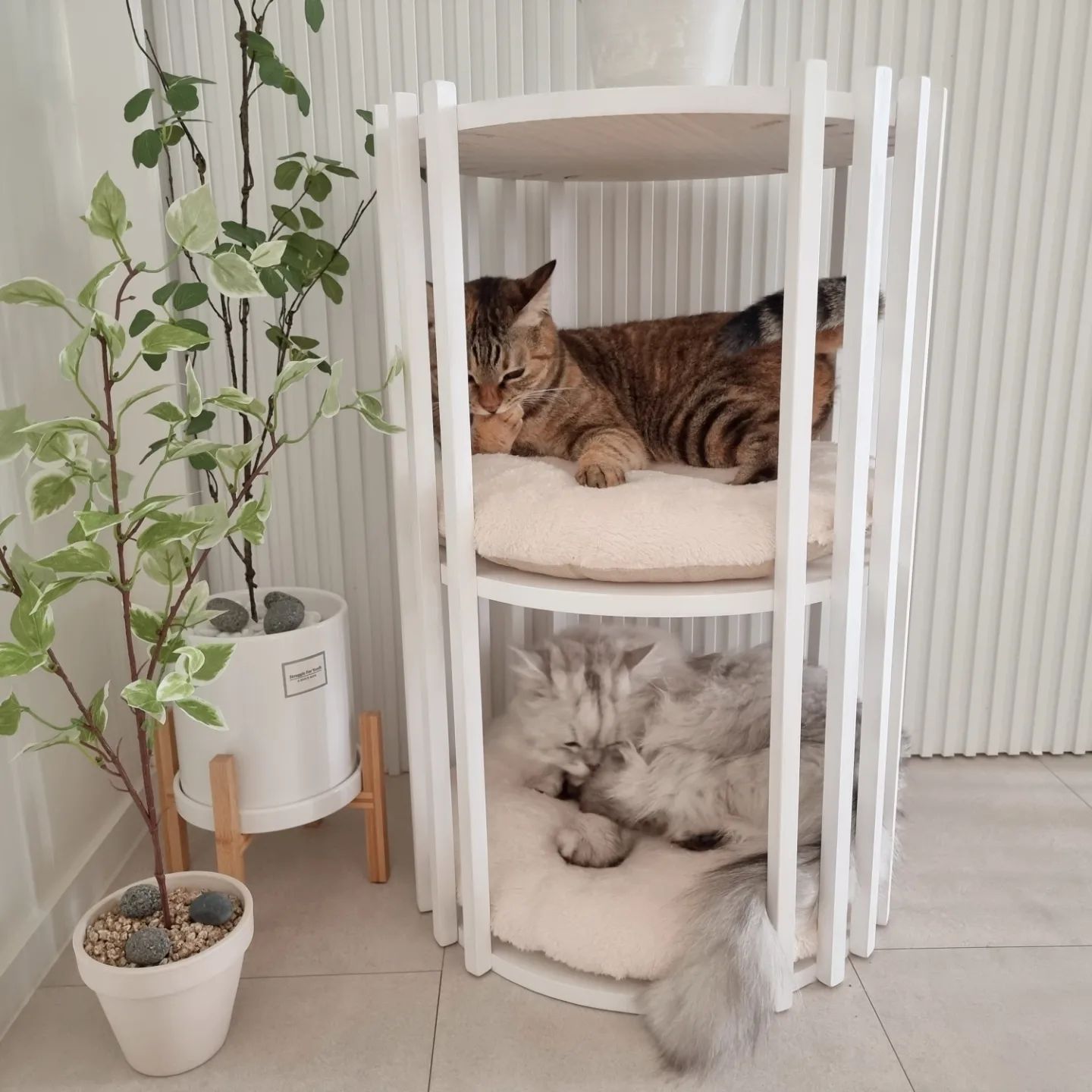 #제품협찬 #하유캣타워

높은 곳을 이제 잘 올라가지 않으려는
노묘 묘르신 도도군😿

도도를 위해 노묘 쓰기 편한
소형 미니 캣타워를 준비해 봤어요.

집사가 소형 캣타워 고른 기준은?
높이가 너무 높지 않아서 쓰기 좋고
원목으로 만들어 내구성이 튼튼
화이트톤 인테리어에 맞는 디자인과 컬러🙊

이 모든 기준을 만족했던
하유 화이트 원목 소형 캣타워

높이도 적당해서 냥이가 드나들기 편하고
공간 차지도 많이 하지 않아서 좋았어요😆

라디에타파인 원목으로 만들었으니
튼튼한 내구성에 마감도 좋은데요?

조립하기 귀찮은 집사에게도 좋았던
완제품 구성 배송 크~!!

화이트와 원목 컬러 중 집사가 고른것은
올화이트 원형 캣타워에요.

1,2층은 냥이가 쓰고
3층은 집사도 쓰고? 좋다!❤

인테리어 오브제로도 딱 맞는
감각적인 디자인의 고양이가구라서
펫테리어 꾸미기에도 딱이죠?

#고양이캣타워 #원목캣타워
#하유캣타워 #노묘캣타워 #먼치킨캣타워