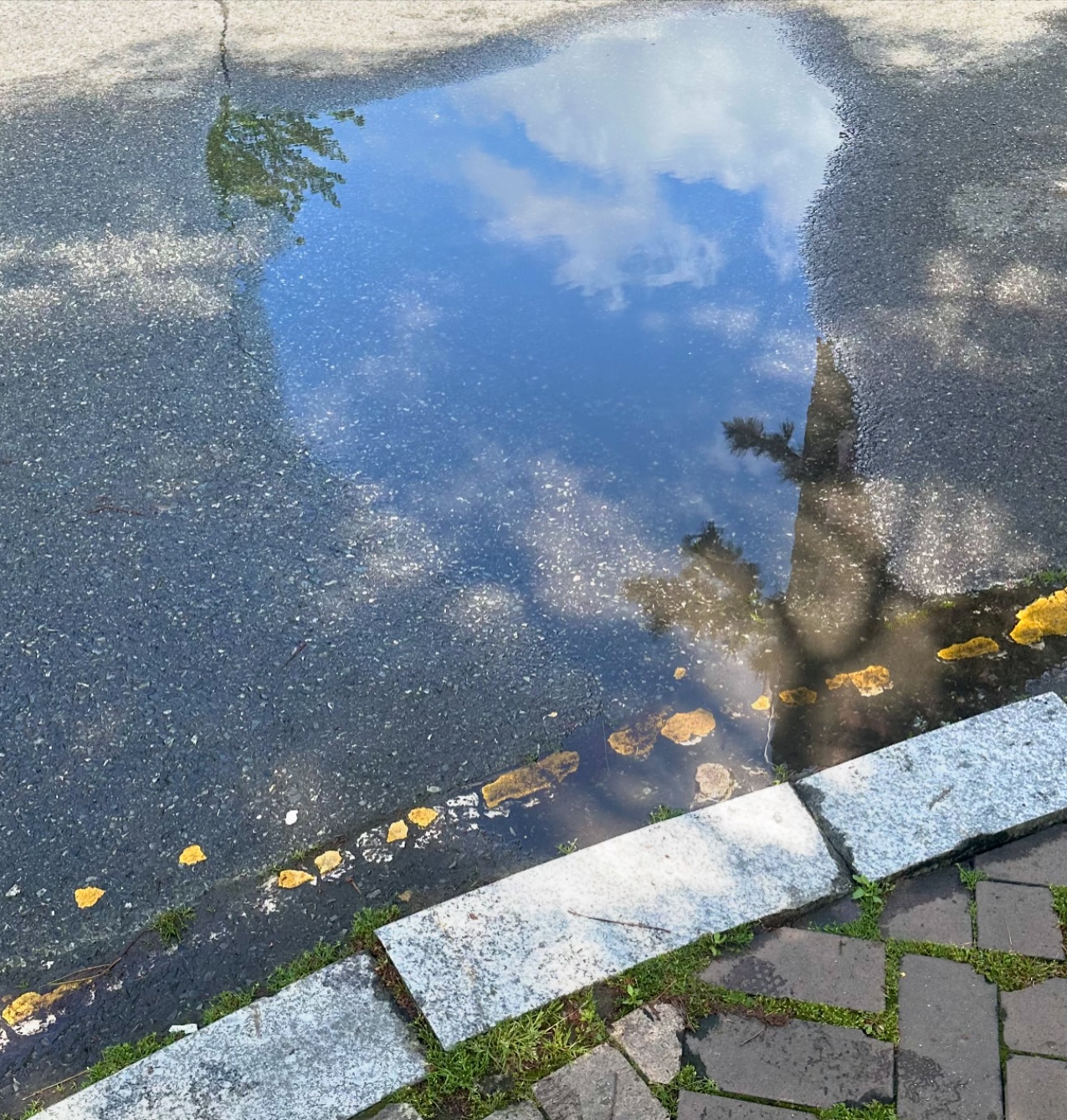 콘텐츠
