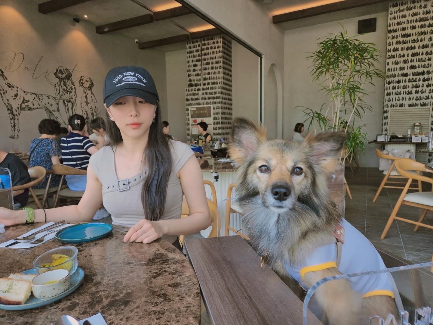 모루랑 밥 먹기🐕🐾🦴
dog_moroo 
.
.
.
.
.
.
.
.
.
.
.
.
.
.
.
.
.
.
.
#수원 #수원스타필드 #수원애견동반 #수원달마시안 #수원스타필드달마시안카페 #suwon #선팔 #맞팔 #선팔하면맞팔 #좋아요반사 #일상 #데일리 #강아지 #멍멍이 #댕댕이 #애견동반식당 #애견동반카페 #수원가볼만한곳 #나들이 #98 #엄마랑데이트 #멍멍이랑데이트 #레스토랑 #수원레스토랑 #맞팔해요 #dog #puppy