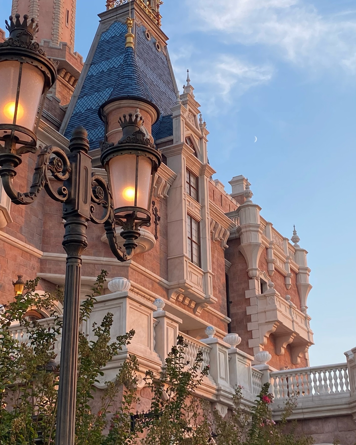 또 가고 싶은 Disneyland ⋆ ˚｡⋆౨ৎ˚