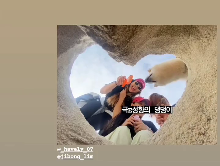 콘텐츠