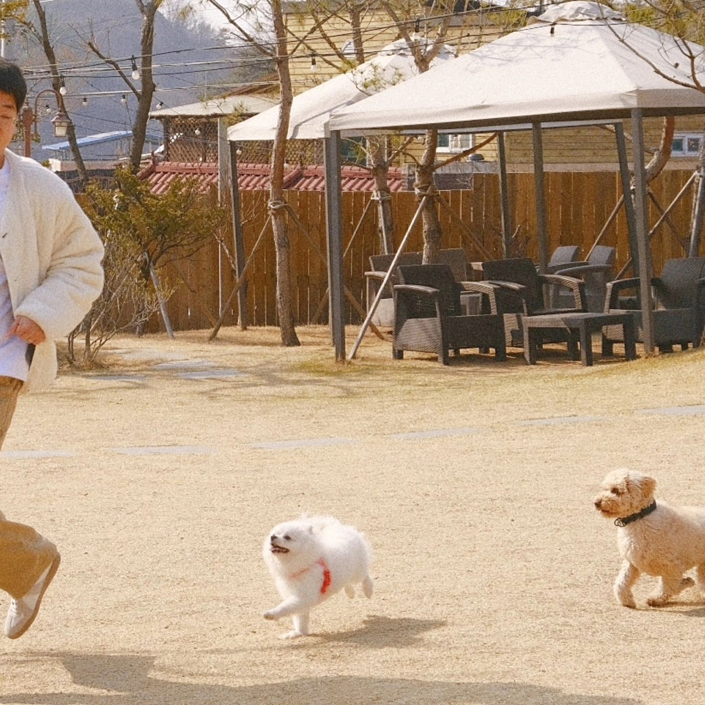 _

견생 291일차 첫 애견카페🐕 
침 질질 흘려가며 세상 신나게 논 김구름씌! 
달려라 해피 넒고 강아지들이 놀기에  너무좋당🫶
세상신나게 놀아준 구르미때문에 누나랑 형아는 힘들어죽는줄..ㅎ
_

달려라해피 봄 운동회 
24.04.21 일요일  참가비 1견 3만원 
Am 10:00 ~ pm 16:00 
장소 : 달려라해피

참가 신청 4월7일 일요일 자정까지 

달려라해피에서 봄운동회를 한다구해요🫶
누나가 출근해서 우리구름이는 못가서 아쉽지만..
 많은분들이 참여하면 좋을꺼같아서 올려보아요🥰 
경품도 정말 빵빵하니 참여해보세요💓
 
run__happy__  자세한내용과 문의는 사장님께 문의해봐요🐶

_
_
_

#견생 #291일 #김구름 #충주 #충주카페 #애견카페 
#애견카페추천 #달려라해피 #강아지 #강아지스타그램 
#충주카페추천 #애견간식 #강아지스타그램 #강아지간식 #포메스타그램 #포메일상 #산책 #강아지산책 #애견카페 #충주애견카페 #김구름 #반려견 #반려동물 #강아지일상 
#강아지소통 #포메 #충주가볼만한곳 #일상 #소통 #견주소통 
#견주 #댕댕이 #댕댕이그램