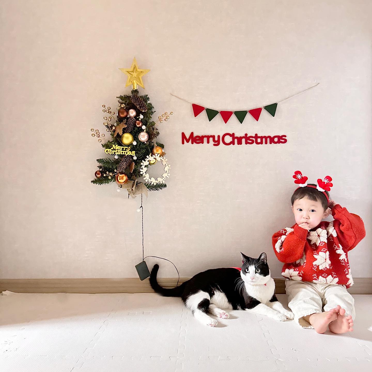 지호랑 까모랑 함께하는 두번째 크리스마스 🎄💚

#육아육묘
#23개월아기