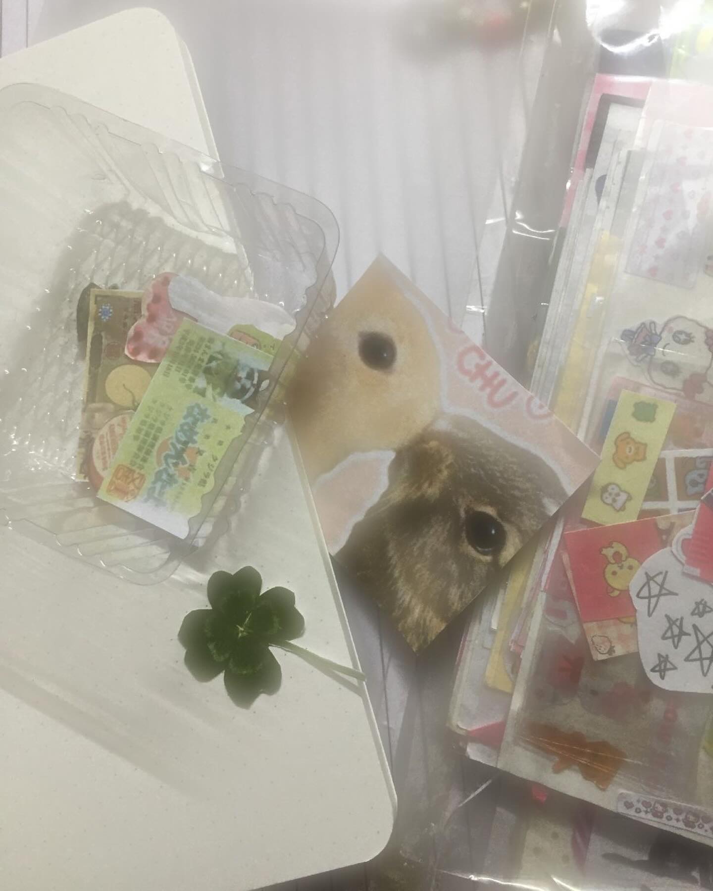 콘텐츠