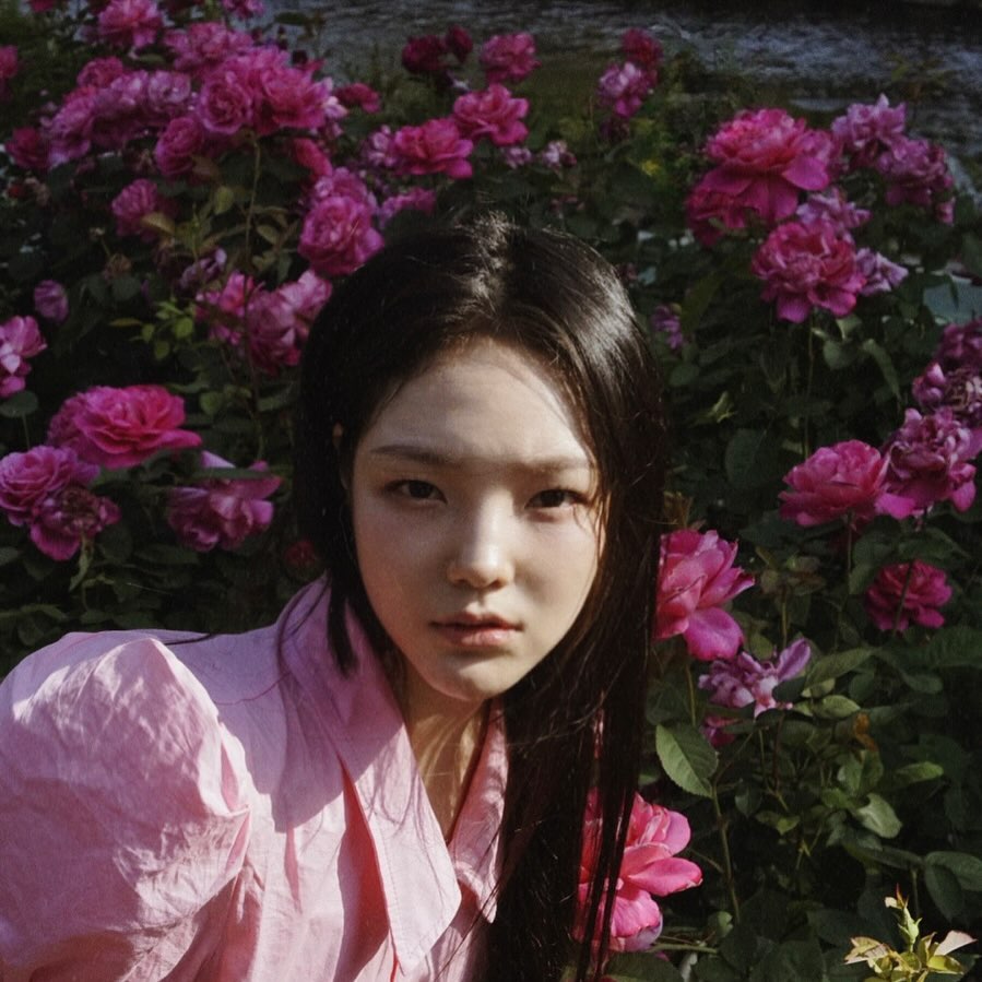 핑꾸 🐽🎀🩷👚