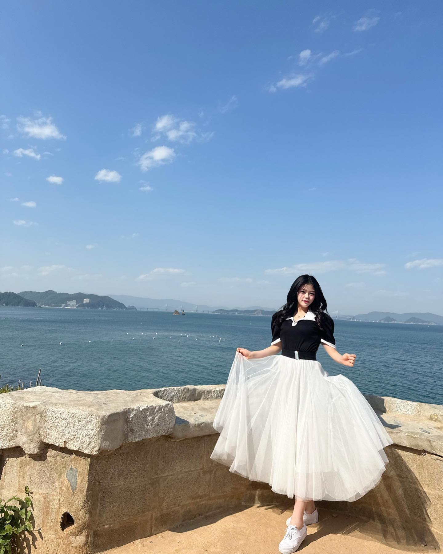 매미🏰
