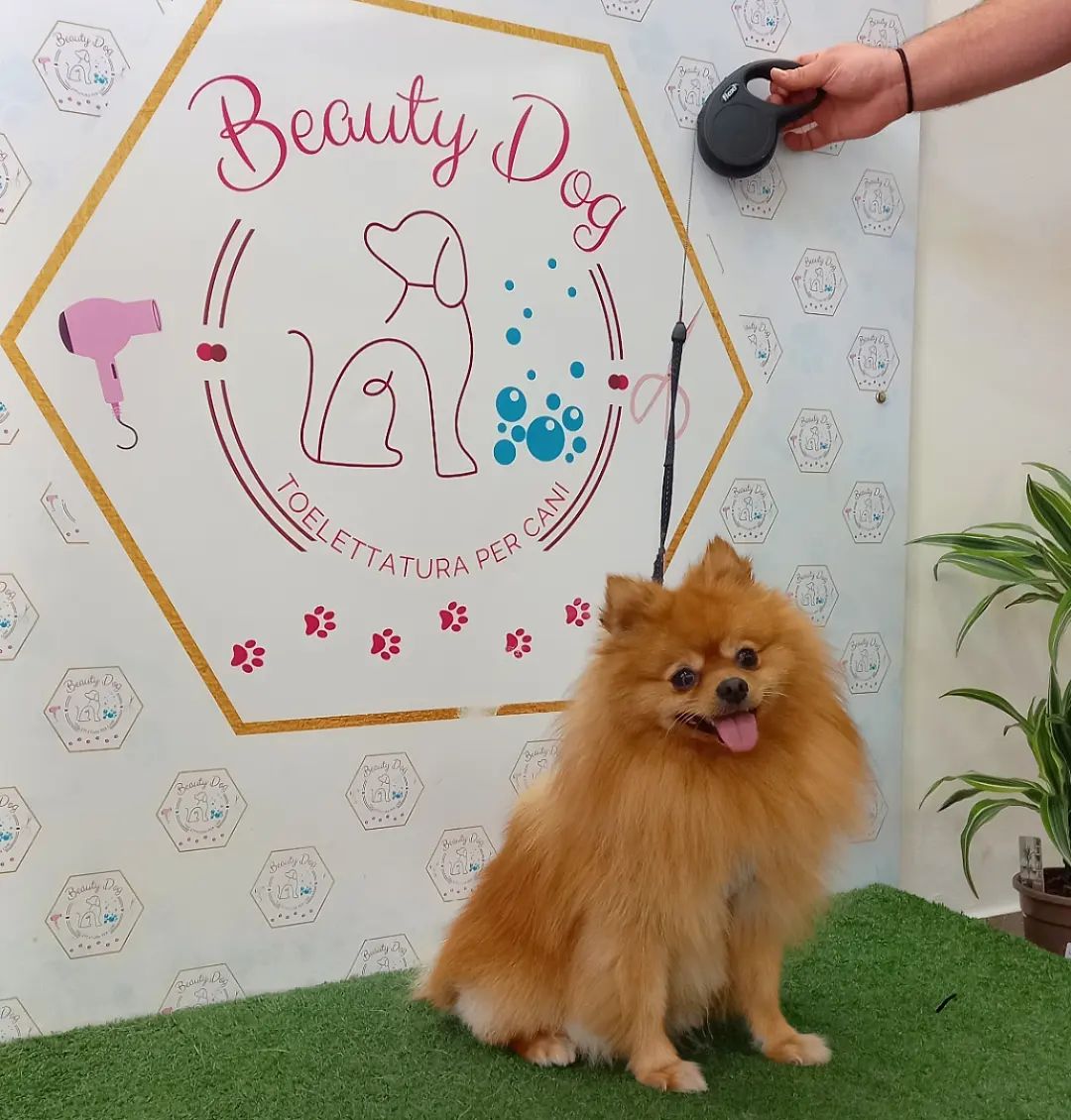 Bellissimo il piccolo Fendi💙🐾