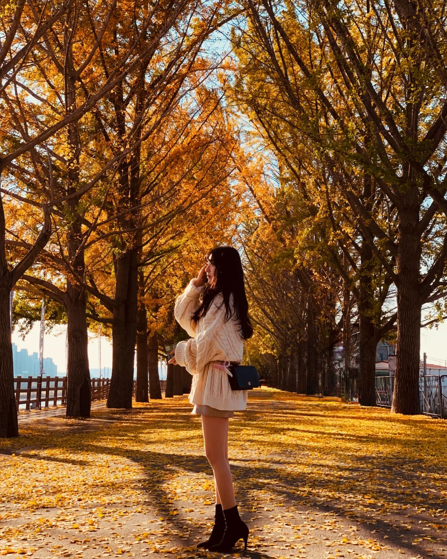 🍁
가을 제발 오래 가죠...

가을 아직 덜 즐겼단 말이야😭

추운거 너무 싫어ㅜㅜ
.
.
.
.
.
#가을 #은행나무길