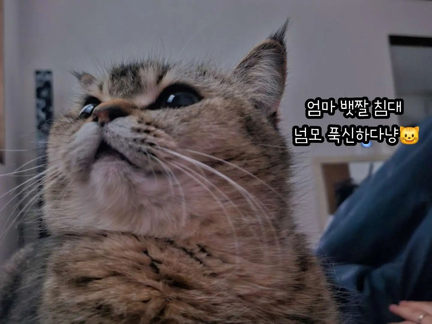 애들도 다 아나봐요!!
아빠 뱃짤보다는 엄마 뱃짤이 더 폭신폭신 말랑말랑 한것을😆
평온한 주말에 갑자기 #쟁탈전
사실은... 하루에도 몇번씩ㅋㅋㅋ #일상

근데.. 이거.. 좋아해야하는거야?? 슬퍼해야하는거야??😤