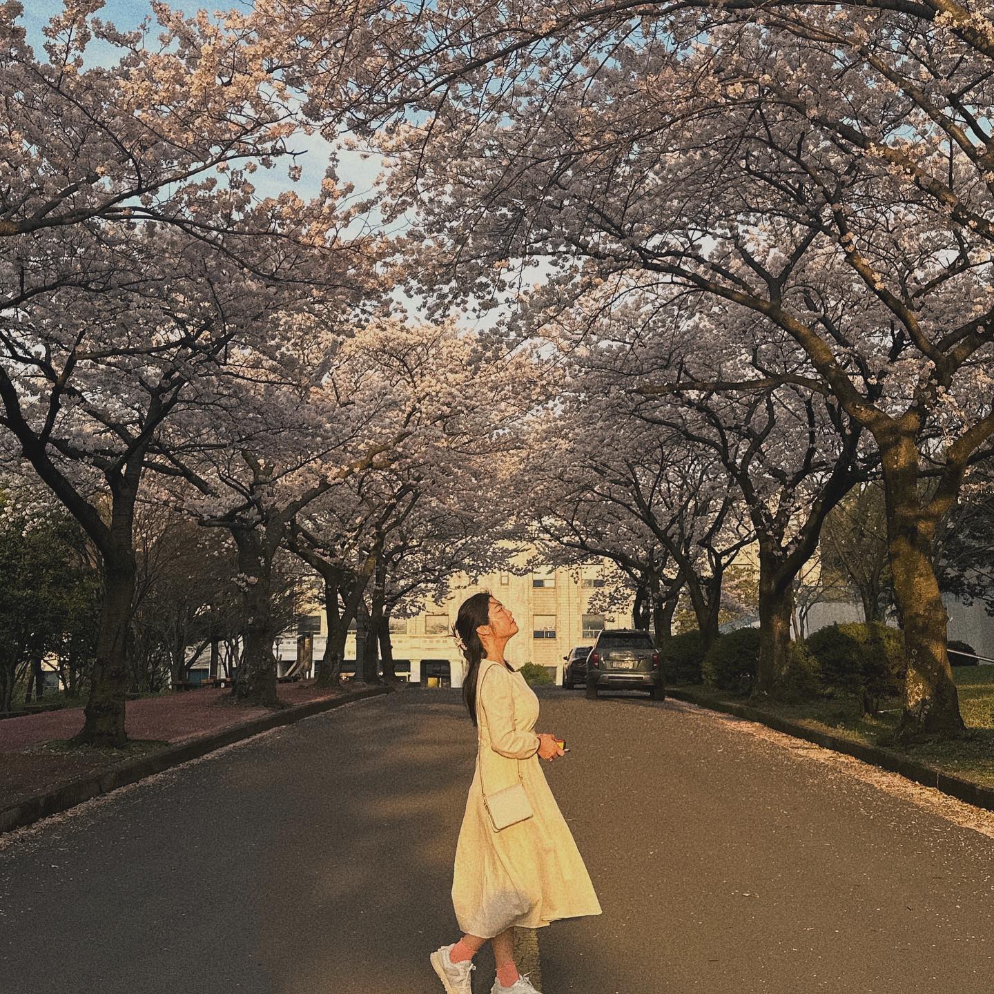 -
네, 16학번 새내기 임미당🌷
.
.
.
번외:) 대학생으로 다시 돌아간다면 더 열심히 놀 것이다.