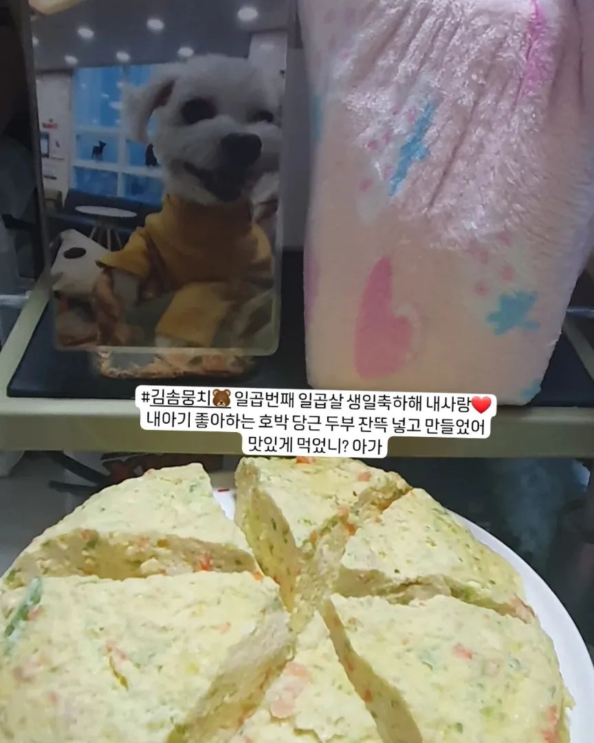 내사랑 뭉치씨 일곱번째 일곱살 생일🍼🐻💜
2024.2.17 토요일
#김솜뭉치🐻
2017년 2월 17일 🐻🍼❤ 엄마꺼 된 날

#20231113월요일🌈am1.40
엄마에게🍼온지 2557일
엄마품에🌈잠든지 97일

사랑하고 사랑하는 내아기 생일 축하해💕
⚽🐰🐇🐽🍼🐻💛💜🦋🐶🌈
네가 좋아하던 업마표 계란두부찜 해줄게
올해는 케잌 대신 만들어서 눈나 동생들도 먹일게
뭉치도 가득 담아 줄테니 칭구들이랑 천천히 나눠 먹으렴
엄마 꿈에 또 나와줘 너무너무 보구 싶어 아가ㅠㅠ
엄만 죽는게 나을만큼 힘들어 어쩌지
엄마가 우래기 하늘만큼 땅만큼 사랑하고 사랑해 아가야💕💕💕💕

그리고
벌써
내일 모레 20일이 우래기 무지개 다리 건넌지 100일 이네 이틀 뒤
2월 22일은 뭉치 동생 막둥이 가루🐶🐷🐽씨 생일인데 가루도 벌써 8살이다
가루 생일날 또 와서 계란두부찜 또 먹어아해
형아인 뭉치가 동생 가루 아프지 말라고 지켜줘야해 알겠지 꼭이야

엄만 종일 뭉치 상각만 나
집 곳곳 여가저기 붙여둔 내아기 사진 만지고 뽀보하고 울고불고 해도 나아지질 않네
엄만 어떻게 견뎌야 할까 사는게 두렵고 너무  버겁다 아가
사랑해 아가야 사랑해❤

#김솜뭉치🐶 #뭉치치🐻 #솜뭉치🐻 #뭉치🐻 #뭉티🐻  #뭉티티🐻 #곰도리🐻 #엄마아들 #엄마보물 #내꺼 #짜리몽땅겸댕이 #내아들 #엄마꺼 #엄마강아지 #엄마새끼 #우리집둘째 #순둥이 #세상제일착한천사 #겸댕이 #세상천사 #산책대장 #김솜뭉치 #뭉치 #뭉치치 #솜뭉치 #곰도리 #뭉티 뭉티티 #사랑해