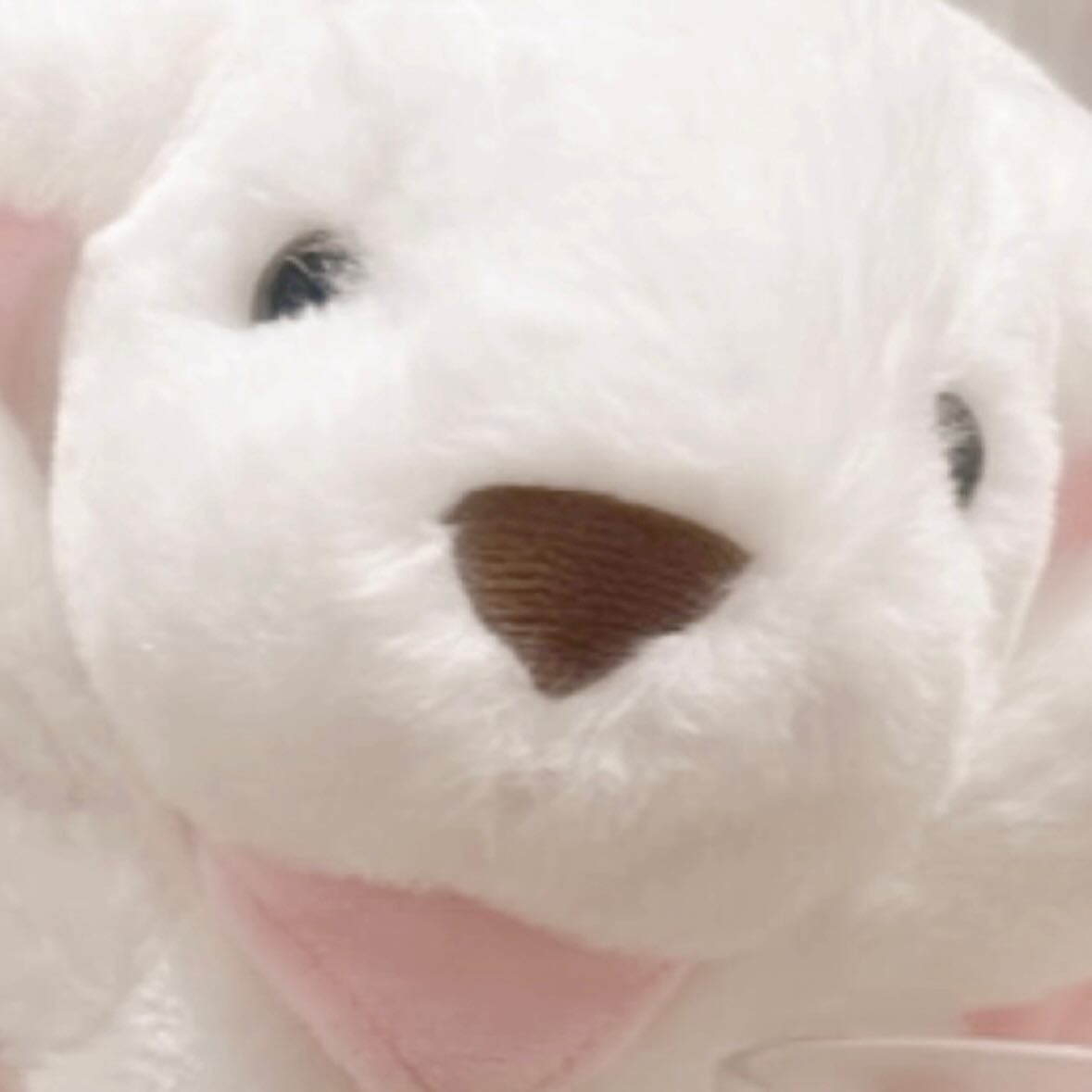 화장 연한게 너무 오랜만이라 어색해서 토순이 까꿍🐰💗