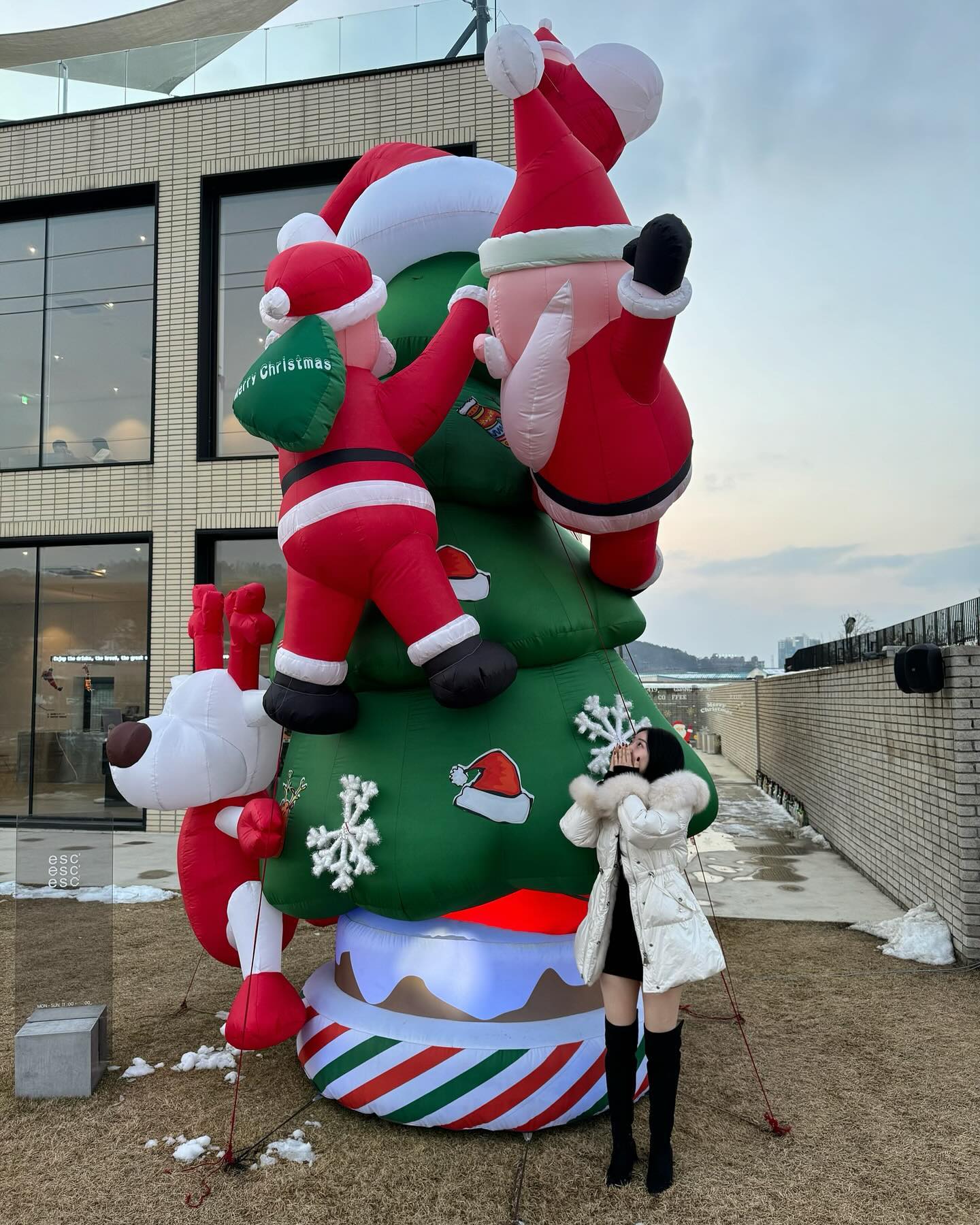 너무 귀여웡 !! 🎄 놓칠수없찌 🎅🏻♥️