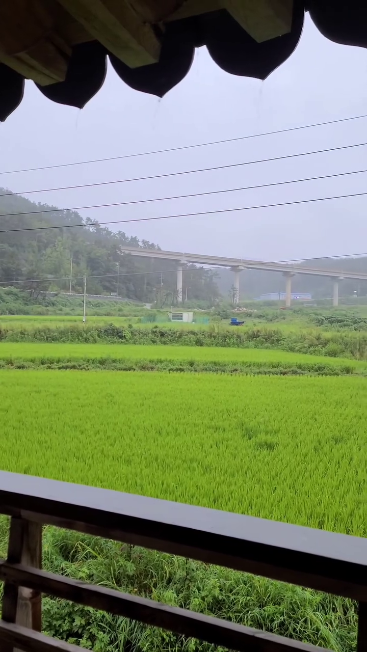 빗소리 좋아하세요? ☔️
전 가끔 잠자기 전 빗소리를 찾아 들어요 ㅎㅎ
숙면을 위한 방법,, 중 하나?!

작년 경주여행중에-