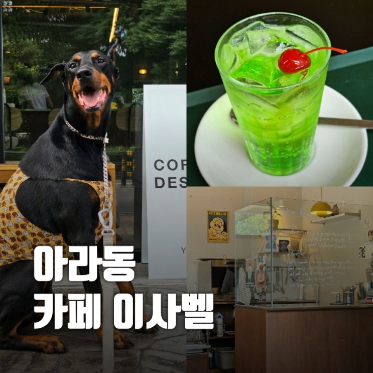 [제주 카페] 아라동 애견동반 카페《카페 이사벨》