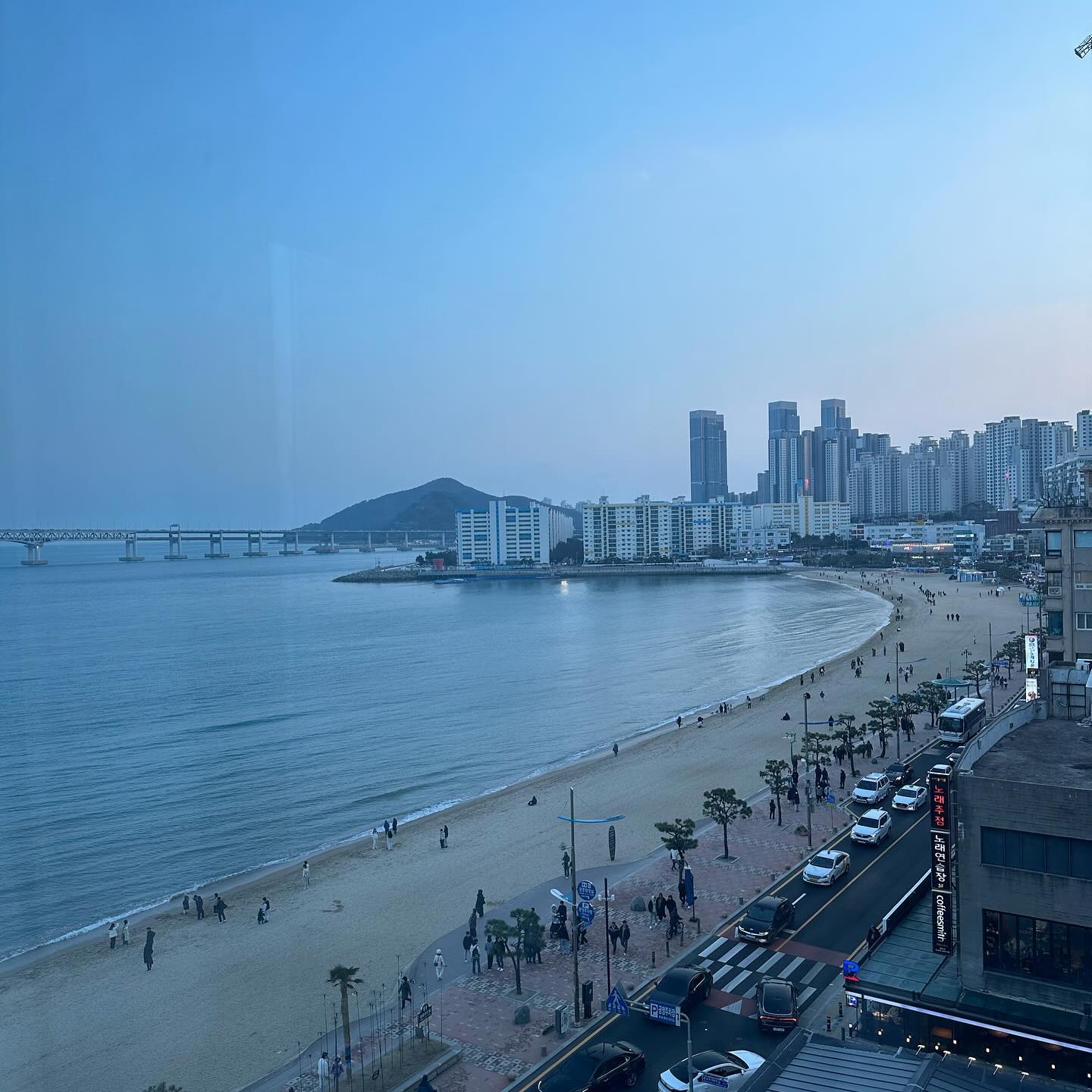 콘텐츠