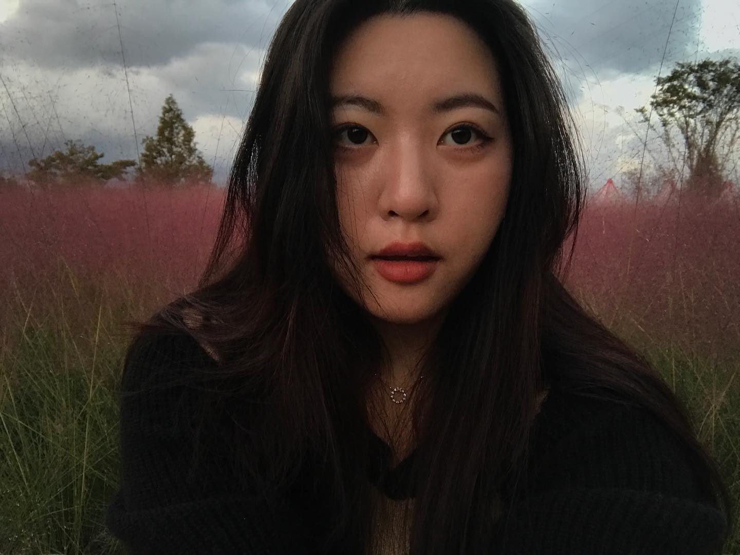흐린 날 핑크뮬리 .•♥