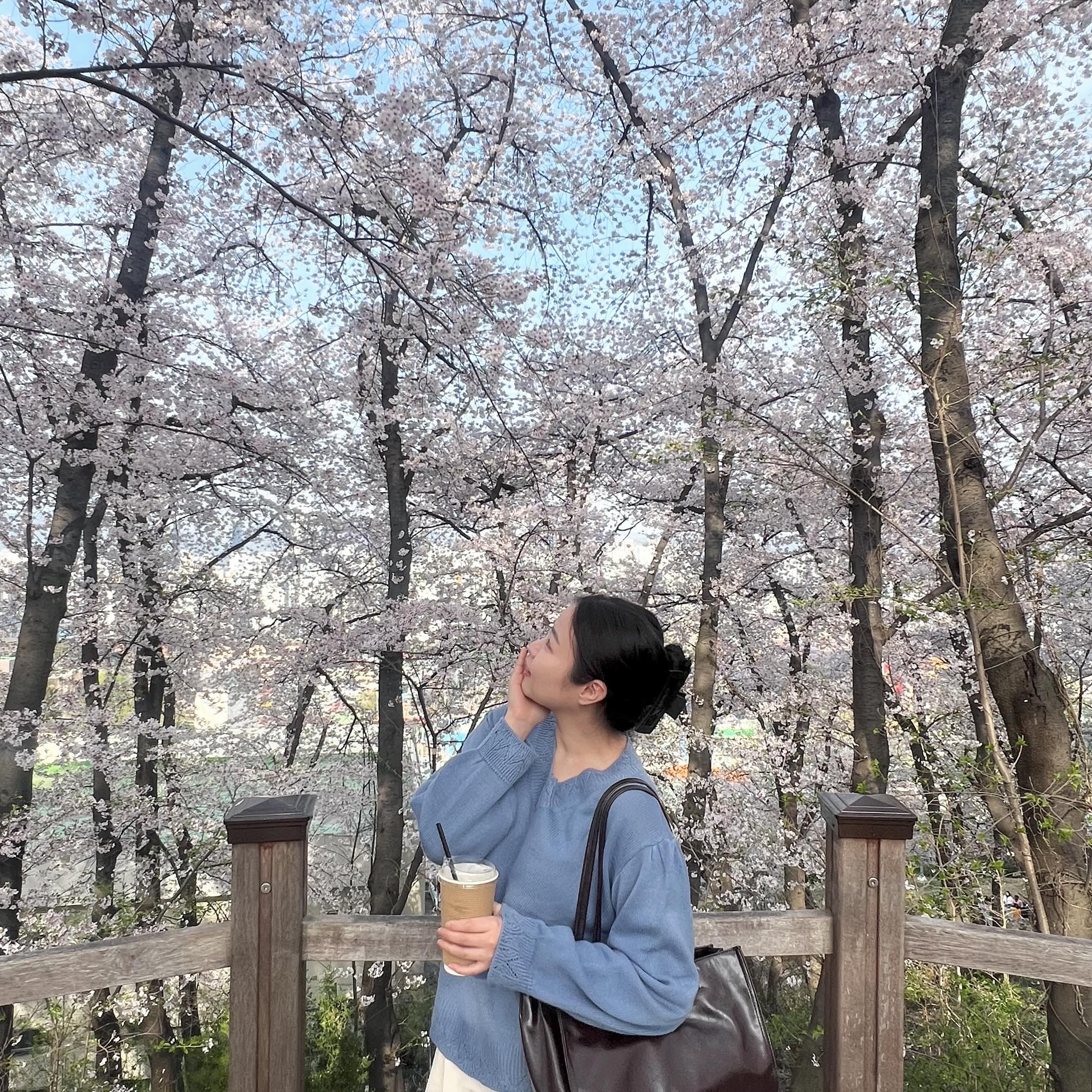 🌸테미공원🌸
.
.
.
대 전 조 하😘