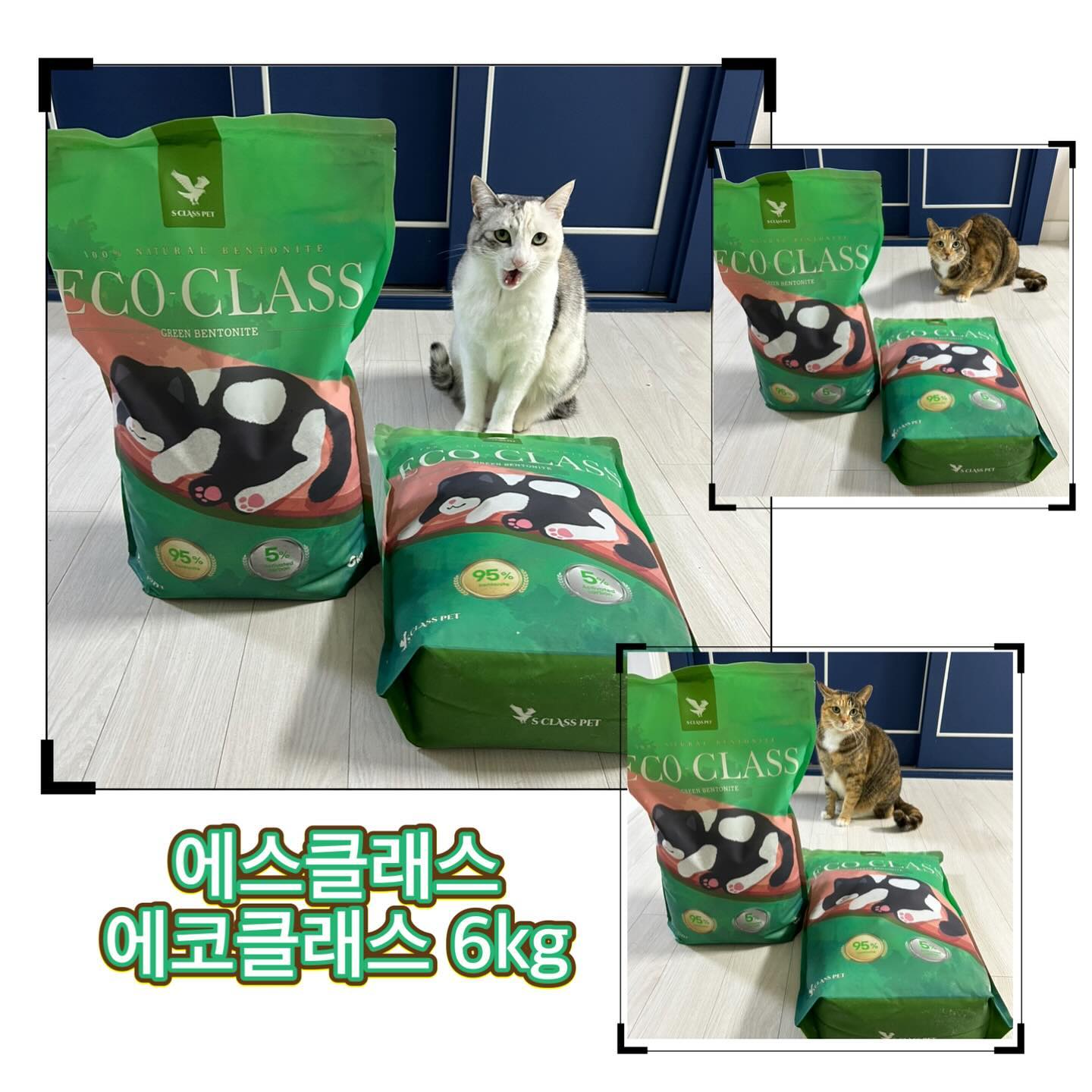#협찬 #제품제공 #체험단후기
<에스클래스 에코클래스 6kg>
sclasspet_official 

에스클래스 에코클래스는 가성비 극강의 모래에요. 현재 6kg 제품으로 개당 9,000원에 판매되고 있어요. 다묘 가정의 경우 모래가 부담이 되는 건 사실이에요. 좋은 모래면서도 가격도 착한 극강의 모래!를 찾으시면 에코클래스 가 딱!!인 것 같아요. 

에스클래스 제품을 기존에 써봤던 터라 이번 제품도 기대가 컸어요. 검정색 에스클래스 제품은 워낙 좋아서 주변 지인들이 물어보면 추천해줬던 제품이거든요. 에스클래스가 에스클래스 했다! 라고 말할 수 있을 것 같아요. 

응고력의 경우에도 단단하게 바로 응고가 되어 부서짐과 떡짐 현상이 없어요. 모래를 사용하다보면 떡짐증상이 있어 끈덕하게 변해서 아이들 발에 많이 뭍는데 에코클래스는 떡짐 현상이 없더라고요. 

모래 구매시 많이 보는 게 먼지, 응고력, 탈취력인데요 이 삼박자가 잘 어우러진 모래에요. 

하얀색으로 뿌려진 제품은 현재 출시 전 제품으로 에스클래스 무향 모래 탈취제 제품이라고 해요. 
천연 탈취제로 잘 알려진 베이킹 소다와 활성탄을 함유하여 탈취 효과를 극대화 하였다고 하니, 같이 사용해주면 좋을 것 같아요. 

👉구매
https://naver.me/5FhICigM 

이 리뷰는 제품을 무상으로 제공받아 작성되었습니다.

#신제품 #에스클래스펫 #에코클래스 #가성비모래#고양이모래 #고양이모래추천 #협찬 #제품제공 #체험단후기