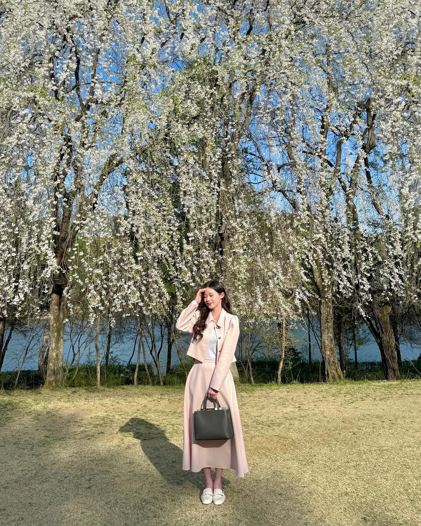 꽃놀이 제대루 하구와따🌸