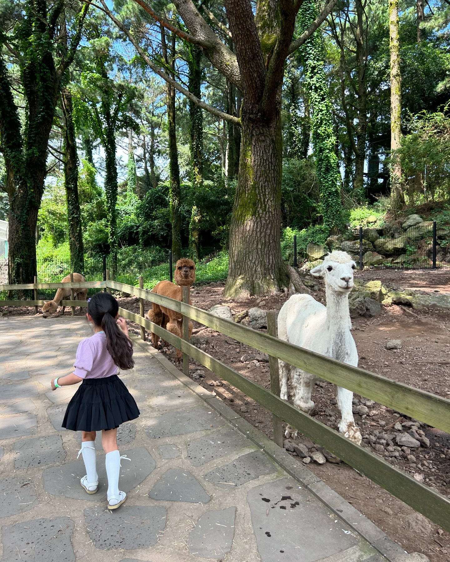 _

제주2일차
워니가 너무 좋아했던❤️
근데 너무짠한친구들ㅠㅠ
