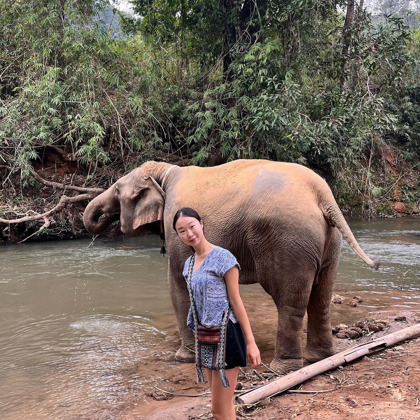 24.1.26. Elephants! 🐘

처음엔 조금 무서웠지만, 순하고 상황에 행복해하는 모습을 보면서 나도 미소가 저절로 나왔다
원래 코끼리를 좋아했지만 더 좋아져버렸다!

#치앙마이여행 #치앙마이코끼리보호소 #태국여행