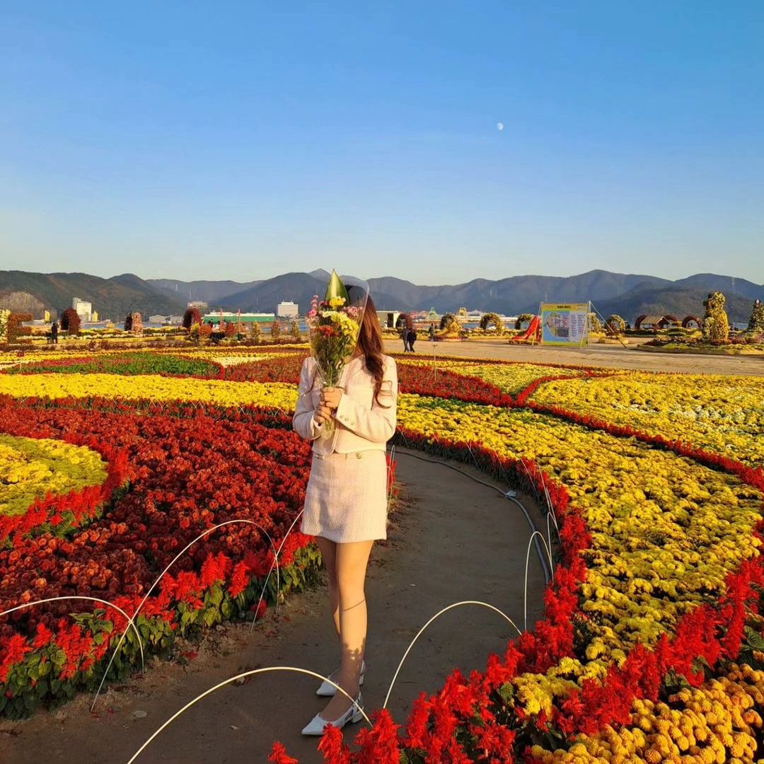 드디어 이번주 토요일에 개최되는 바다와 국화를 동시에 볼 수 있는 마산국화축제🌼

창원의 정원, 국화꽃 프로포즈, 세계여행 등 10가지 태마로 구성 된 이번 국화 축제에서는 무려 6m 높이의 황룡게이트를 포함해 총 230개의 작품, 총 1억2천만송이의 국화를 만나볼 수 있다고 해요💛

축제기간동안 드론라이트쇼, 특별 기획공연, 불꽃쇼, 국화 드림퍼레이드, 국화 인디뮤직페스타, 국화댄스, 치어리딩페스티벌 등 다양한 페스티벌과 다양한 체험시설도 선보이니 더 즐기기 좋으실 거 같아요🌼✨️

🗓 기간 : 2024.10.26. (토) ~ 2024.11.03. (일)
📍장소 : 3·15해양누리공원 및 합포수변공원
☑️ 요금 : 무료

📌체험시설
다함께! 국화꽃 벽화만들기
가을국화 수능소원판
내 얼굴에 국화꽃이 피었습니다(타투 스티커 붙이기)

📌개막행사 : 10.26(토) 
▫️식전공연 : 18시
▫️개막식 : 19시
▫️해상 드론 라이트 쇼 :19시30~19시45
▫️초대가수 라인업 : 김다현,김의영,아리안,아트디엠

📌국화 드림 퍼레이드 : 10.27(일) 13시 30분, 11.2(토) 16시

📌멀티미디어 불꽃쇼 : 10.30(수) 20시

📌국화 인디뮤직페스타 : 11. 1(금) 7시

‼️주차장과 행사장 일대가 혼잡하니 대중교통이나 무료셔틀버스 이용을 추천드려요

☑️셔틀버스 노선
마산역 → 창원NC파크 → 창동, 오동동 → 마산어시장 → 3.15해양누리공원 

☑️주말특별노선
국화축제장 → 창원단감축제장(중동781 일원) → 조각비엔날레(성산아트홀)

#마산국화축제 #국화축제 #창원국화축제 #마산가볼만한곳 #창원가볼만한곳 #마산해양공원 #부산근교 #창원여행 #마산해양누리공원 #해양누리공원 #315해양누리공원 #국화축제 #경남가을축제 #가을축제 #가을꽃축제