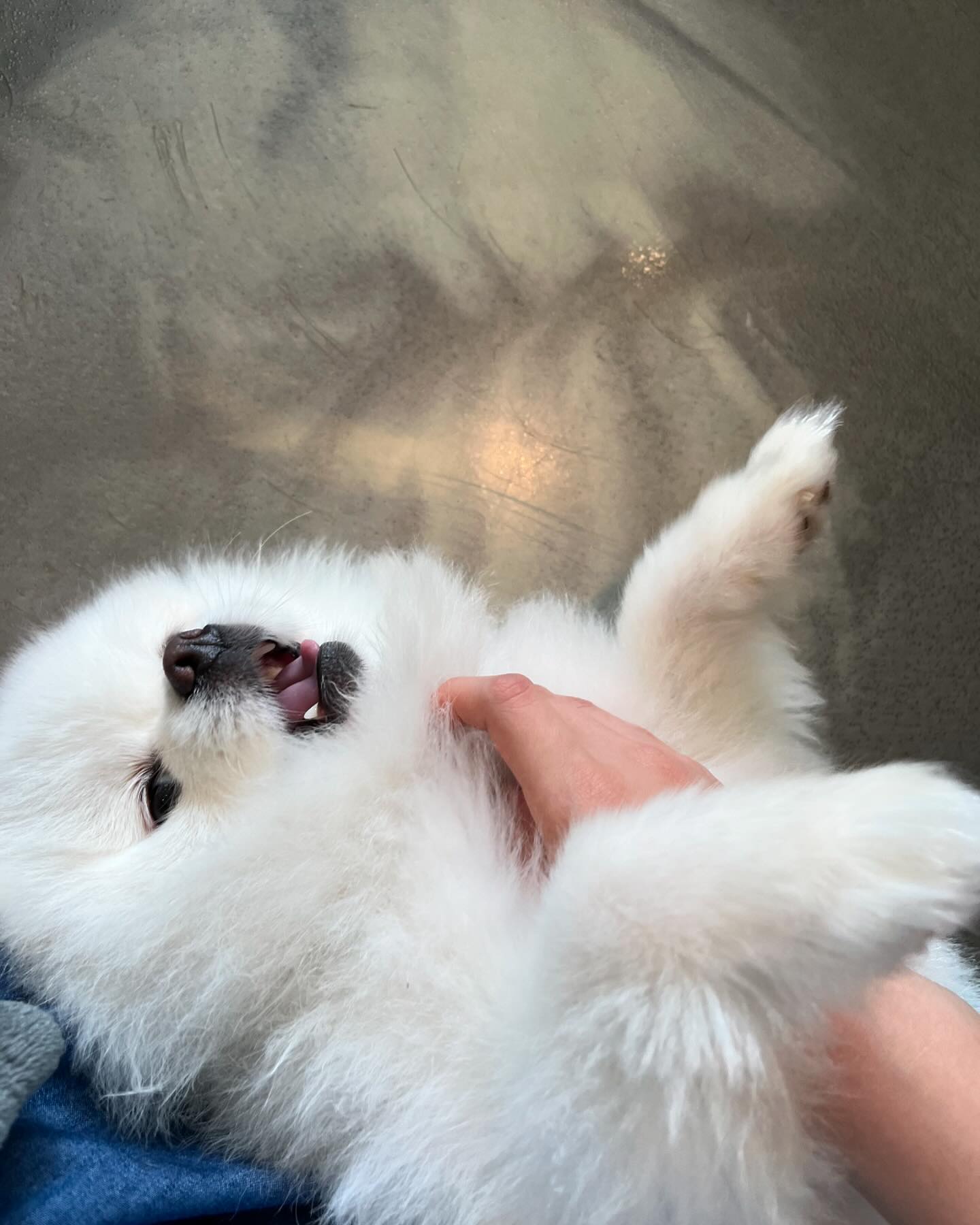 콘텐츠