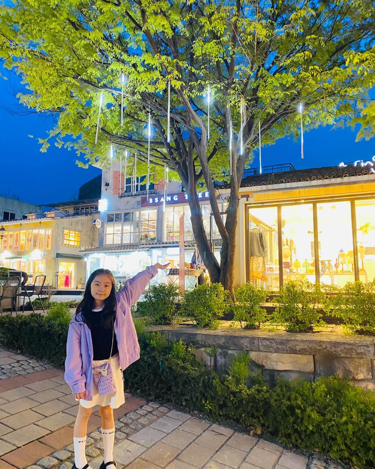 프로방스