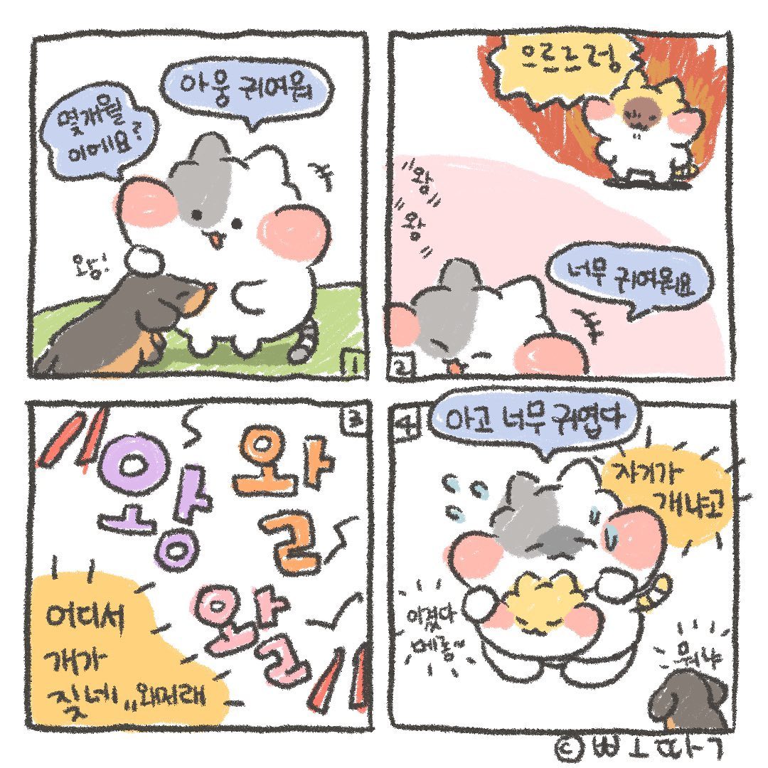 고양이임..