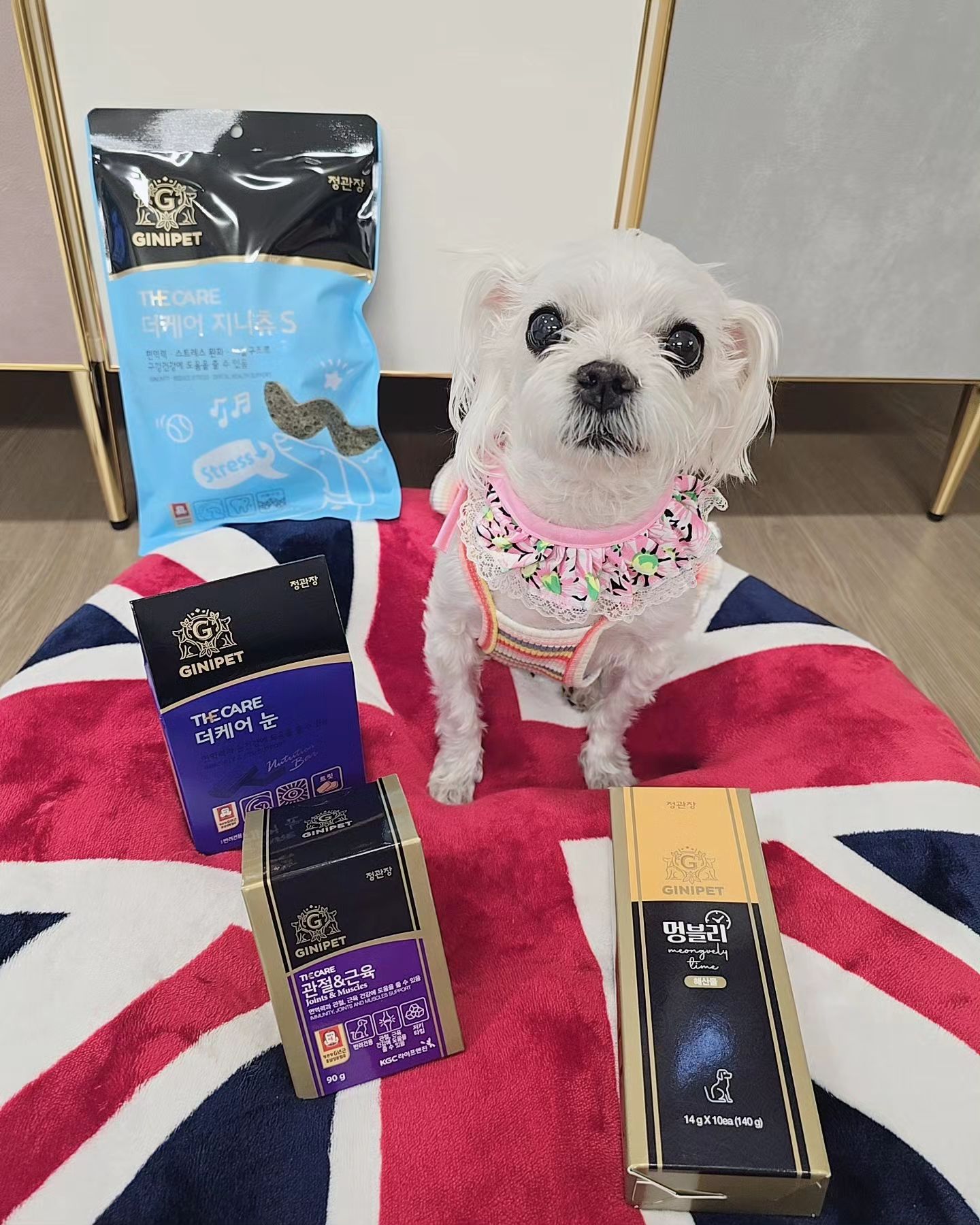 #협찬 지니펫] 강아지 간식 & 영양제🐶

정관장 유명한거 아시죠?*^^*
정관장 지니펫에서 이번에 여러가지 협찬받았어요~🤩
*멍블리타임 - 해산물 ,*더케어 지니츄 S
*더케어 영양제 ( 관절&근육+눈케어)
이제품들의 강점인공통점은 믿을수있는원료를 사용하고 면역력에 도움을주는 홍삼이 들어갔답니다👍
정관장이 홍삼이 유명한거아시죠?
너무 좋은것들이 많이 들어가서 간략하게 소개해드릴께요~😉

🎈멍블리(해산물맛) 면역력에 도움을주는 홈상함유!!
신선한 해산물과 아미노사/유산균함유까지..
장건강뿐만아니라 면역력증진 항산화에도움도주고 
기억력개선에도 도움을 준답니다
🎈더케어 지니츄 면역+구강건강 씹으면서 
스트레스로인한 긴장완화까지..ㅎ
버블구조로 구강건강에 도움을 줄수있습니다
🎈신선한 초록입홍합과 보스웰리가/MSM함유된
관절과 연골건강에 도움을 준답니다
🎈더케어눈 면역력과 눈건강을 한번에..
트릿형태로 댕댕이들 하루영양챙기기 편하구요
위생적인 개별포장으로 신선도 up!!

정관장 지니펫 제품들은 댕댕이들한테 기호성도 굿이고
무엇보다 기본적으로 홍삼이 들어가서
저희 사랑이 행복이한테 꼭 필요한거라 너무 좋았어요~🩷💕
ginipet
.
#홍삼 #강아지간식 #정관장 #액상포형간식 #지니펫 #멍블리 
#강아지면역력 #반려견간식 #멍멍이 #댕댕이 #강아지 #댕플루언서 
#멍스타그램 #멍플루언서 #댕스타그램 #댕팔맞팔