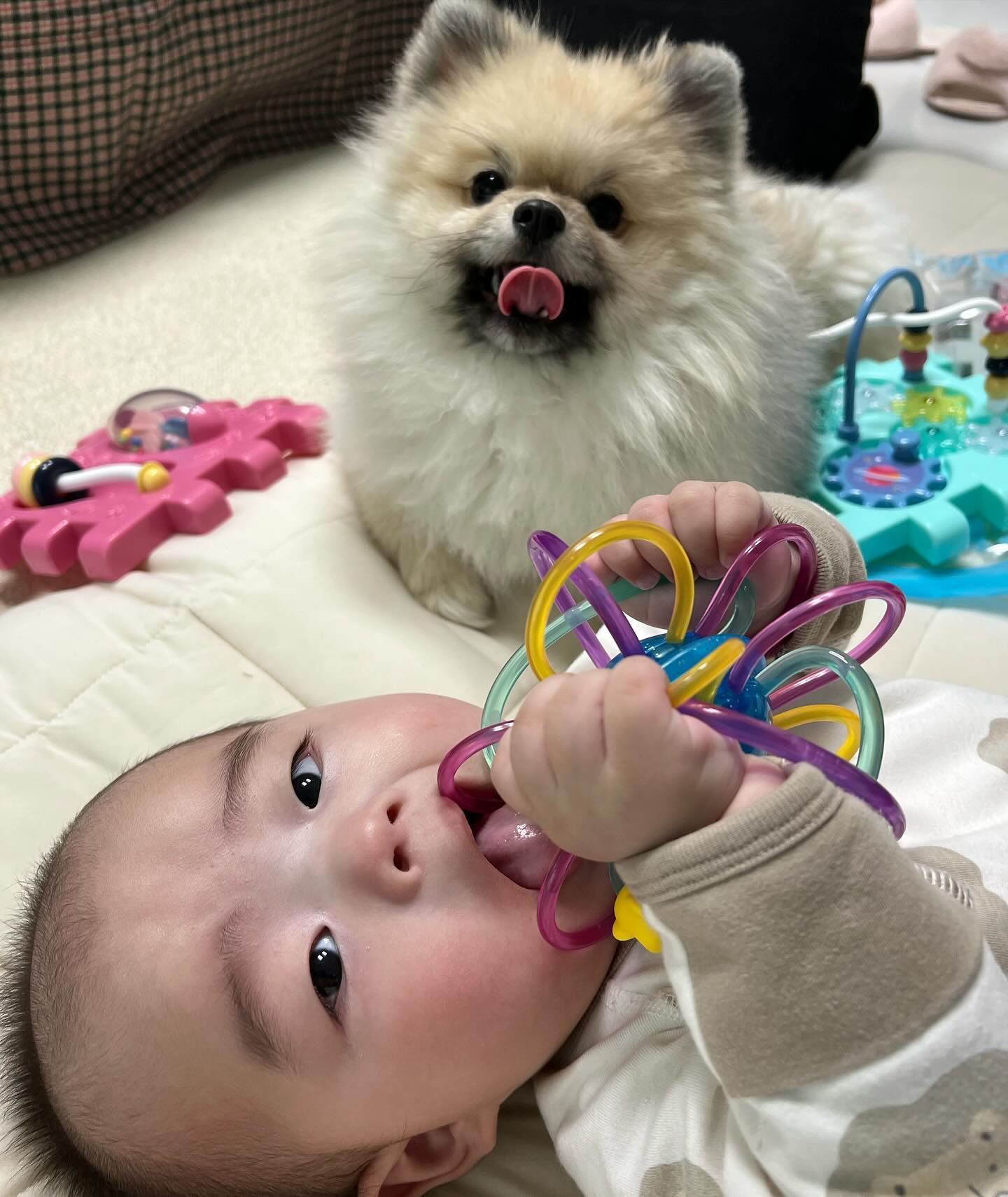 훌쩍 커버린 제민이❤️

우리 제민이가 벌써 D 167일이에요!
시간이 어떻게 이렇게 빠른지..😂

이제 이유식도 먹고!떡뻥도 먹고~
손에 힘도 좋아져서 다 쥐어뜯으려고 난리네요ㅎㅎㅎ😂

모든 손에 들어오면! 바로 입!!!

엄마가 열심히 소독하고 청소해도.. ㅎ
모든 걸 다 입으로 넣어버리는…🤦🏻‍♀️ㅎㅎㅎ

멋지다 아들👍🏻

이제 잘 뒤집고 제법 엉덩이도 드네요!ㅎㅎㅎ

장하다 우리 아들!❤️🎊

이쁜 사진! 멋진 사진! 웃긴사진ㅎㅎ
모두 모두 추억으로~~📷
(엄마랑 사진찍기는! 실패! 이렇게 싫어할…줄이야..ㅎㅎㅎ😂)

앞으로도 더 행복하기 약속🤙🏻❤️

#5개월 #5개월아기 #167일 #벌써커버린아들 #앞으로더행복하자❤️ #사랑해요 #이유식 #떡뻥 #육아 #육아소통 #육아일상 #육아맘 #육아맘소통 #아기와행복한일상 #일상 #일상소통 #아들맘 #행복해💕 #사랑해아들❤️