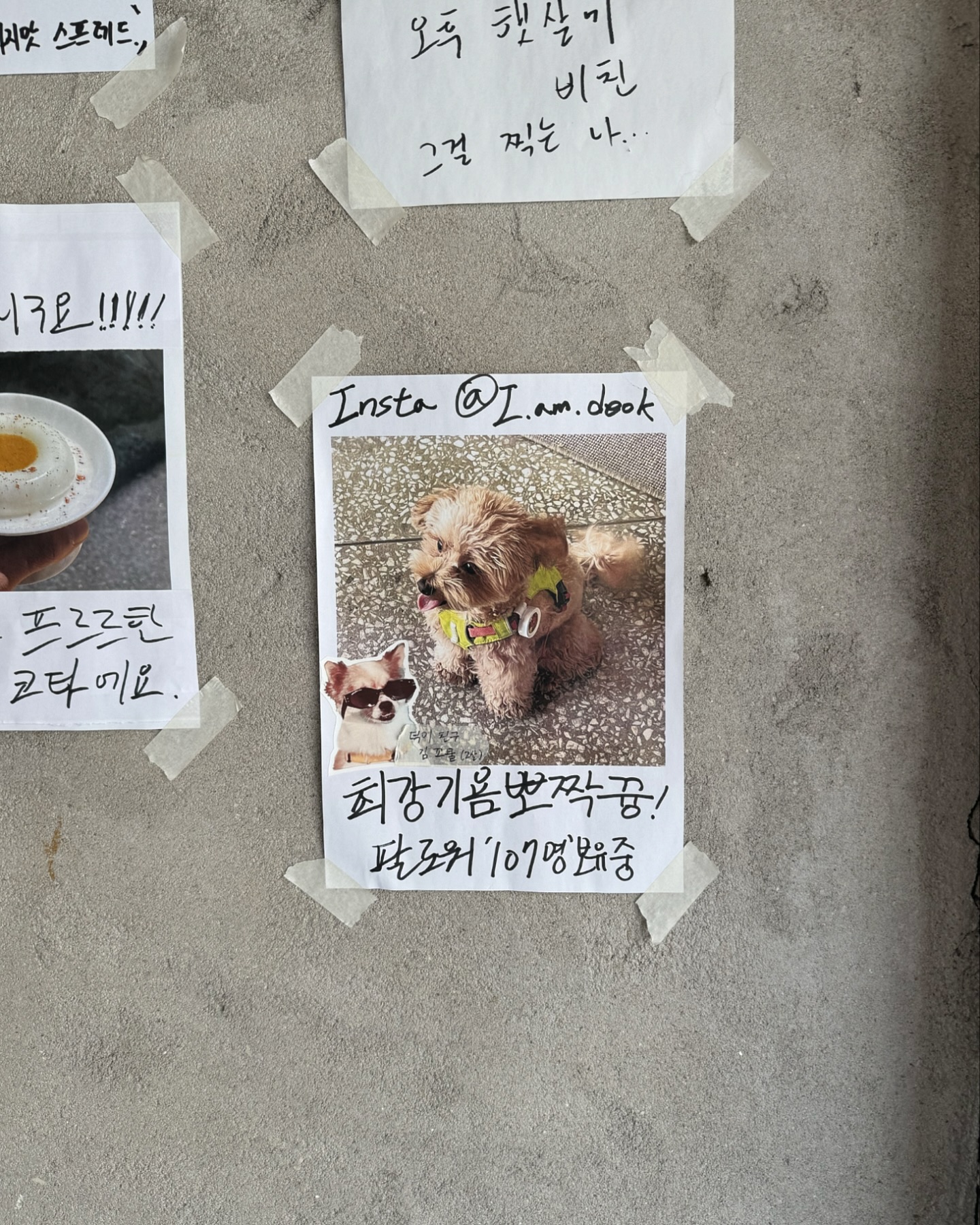 넘 유쾌한❤️