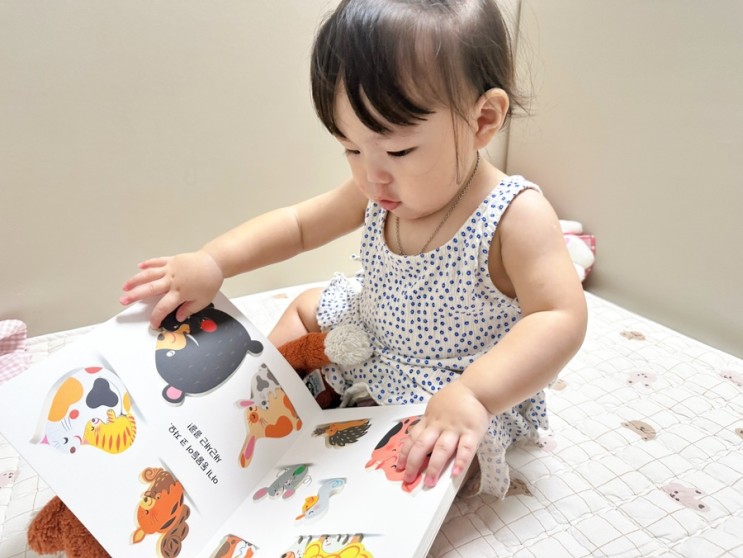 돌아기전집 아람북스 베이비올 코코아 세계창작 책육아 세이펜 가능