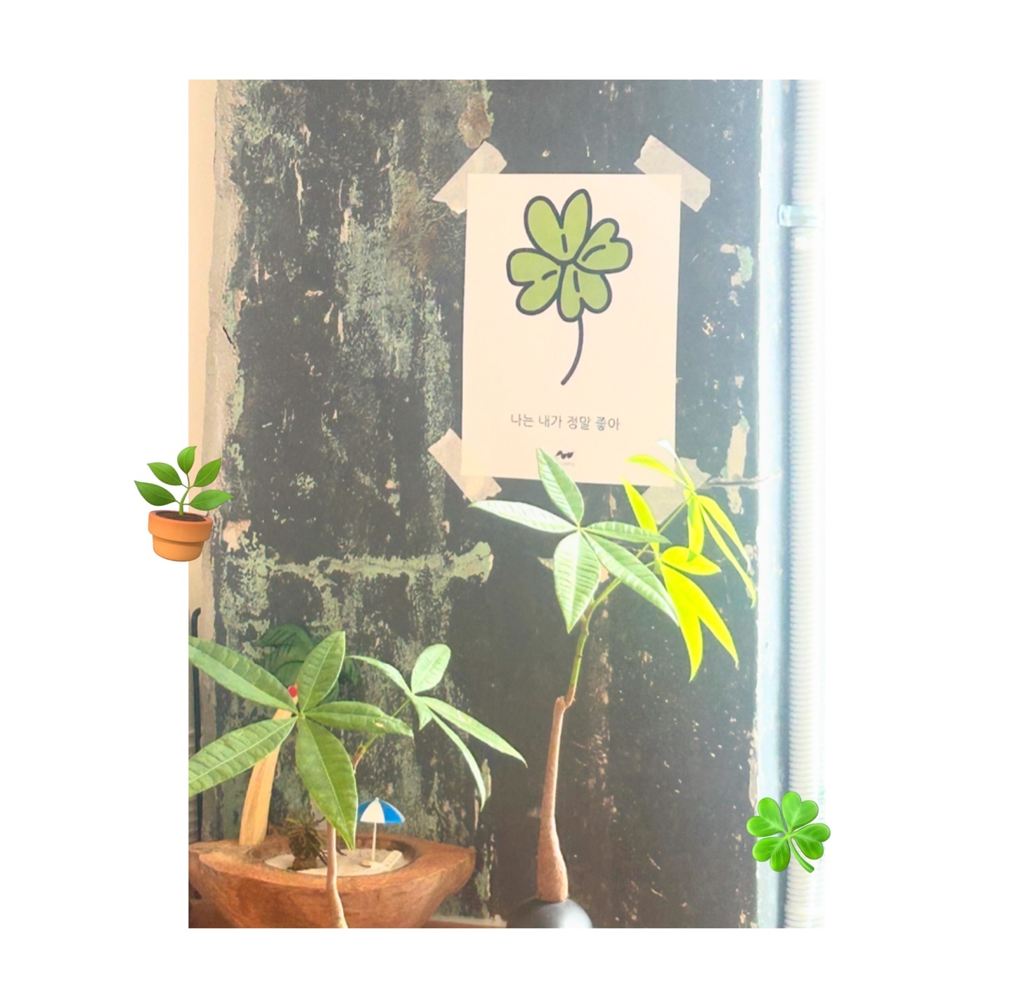 (〃´𓎟`〃)