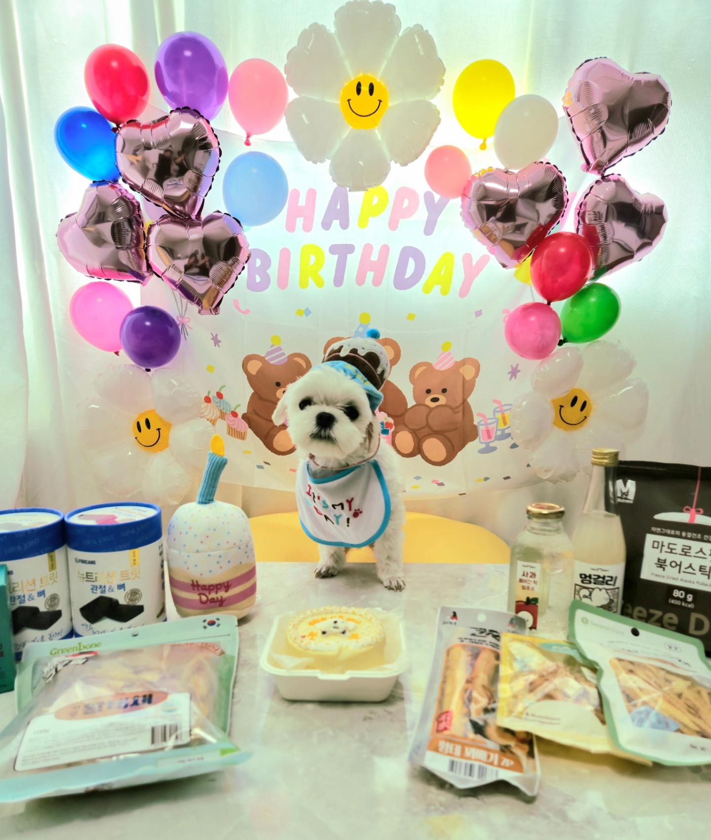 《2023.08.10》

파니 태어난 지 일년되는 날.
우리에게 선물처럼 와줘서 고마워.
오래 오래 건강하게 옆에 있어줘.

항상 활기차고 잘 먹고 잘 자는 
우리 개아들 파니의 모습이 영원하길 기도할게.
아무 걱정도 어떠한 슬픔도 가지고 있지 않길.

우리 파니가 말 못하는 동물로 태어나
모든 것에 대해 힘들어하고 스트레스 받는 일은
살아있는 동안에는 없길.

파니의 개엄마, 개아빠가 될 수 있게 해주어서 고마워.
엄마도 아빠도 파니와 함께하는 시간동안
후회없는 사랑을 하고 사랑을 줄 수 있도록 노력할게.

파니야 한 살 너무 너무 축하해.
사랑해 우리 파니