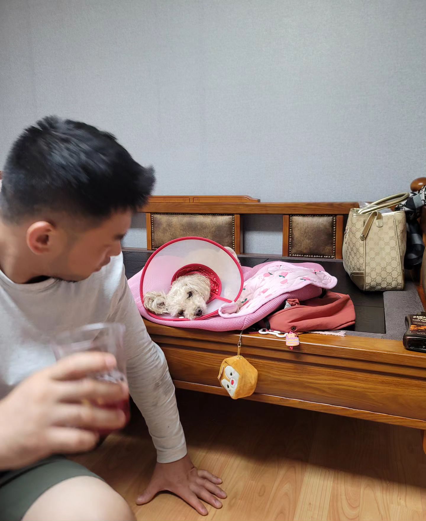#개피곤 #인형표정과제리표정똑닮 #ㅋㅋㅋ #졸려효😴 #나자면늬들끼리잼나는거하려고그러징 ?? #ㅎㅎㅎ #천사의앙탈 #토이푸들제리 #황제리블리❤️ #황제리 #냥냥냥냥