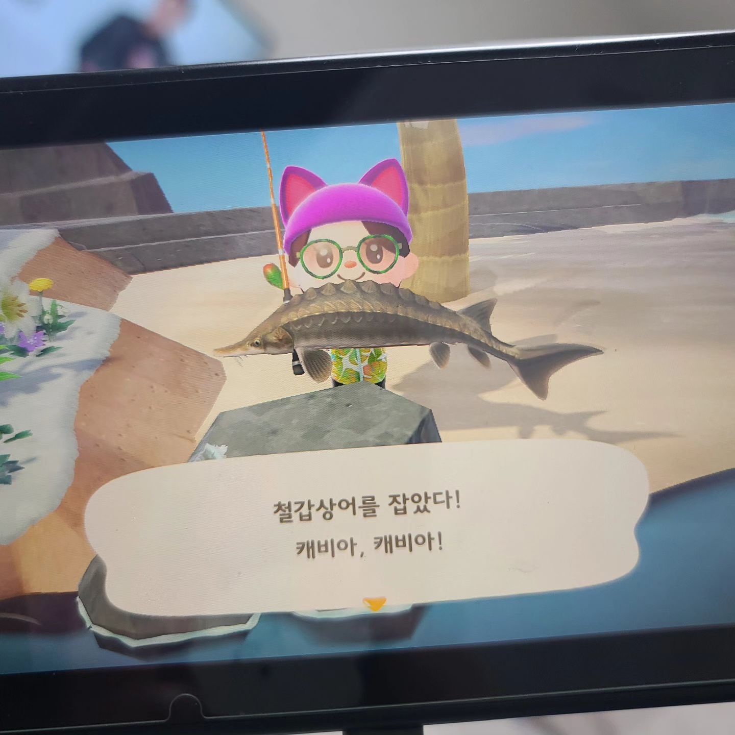 캐비아.캐비아