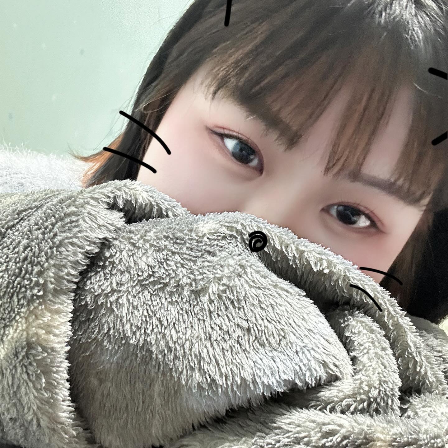 나 싸움 잘하는 고양이야 다 덤뵤 ≽^•⩊•^≼