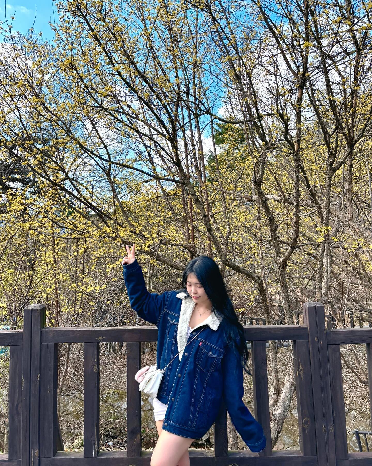 seoulgrandpark seoulgrandpark_skylift 

아주 오랜만에 가본 서울대공원 동물원‼️

아침엔 비가오기도 했고 화요일이라 사람이 엄청 적었고
주차장도 자리 엄청 많아서 여유롭게 주차했습니당

그리고 아직 벚꽃이 피기 전이라 사람이 더 없는것같았어요
벚꽃시즌에는 사람이 진짜 많을거같아요
스카이리프트 타면서 보니까 가는길에 벚나무가 엄청 많더라구요
( 아쉽지만 제가 갔을땐 다 꽃봉오리였어요😂 )
스카이리프트 타면서 벚꽃보면 진짜 이쁠거같아요!

입장료도 엄청 저렴하고 지하철로도 바로 갈수있어서
데이트 뭐할지 고민되는 날에 가면 딱이에요!

저는 코끼리열차1회+스카이리프트1회+입장권 으로 해서
한명당 14500원에 다녀왔습니당

생각보다 동물원이 많이 넓어서 일찍가는거 아니면 스카이리프트로 정상으로 바로 갔다가
내려오면서 보는게 좋은것같아요

그리고 화제의 중심 렛서판다는 그날 뭔지 모르겠는데
뭔가 수리하고 있어서 못봤었어여ㅜ

전 담에 또 보러가렵니당

#서울대공원 #동물원 #서울대공원동물원 #과천 #데이트 #데이트코스 #데이트추천 #💗 #🌼
