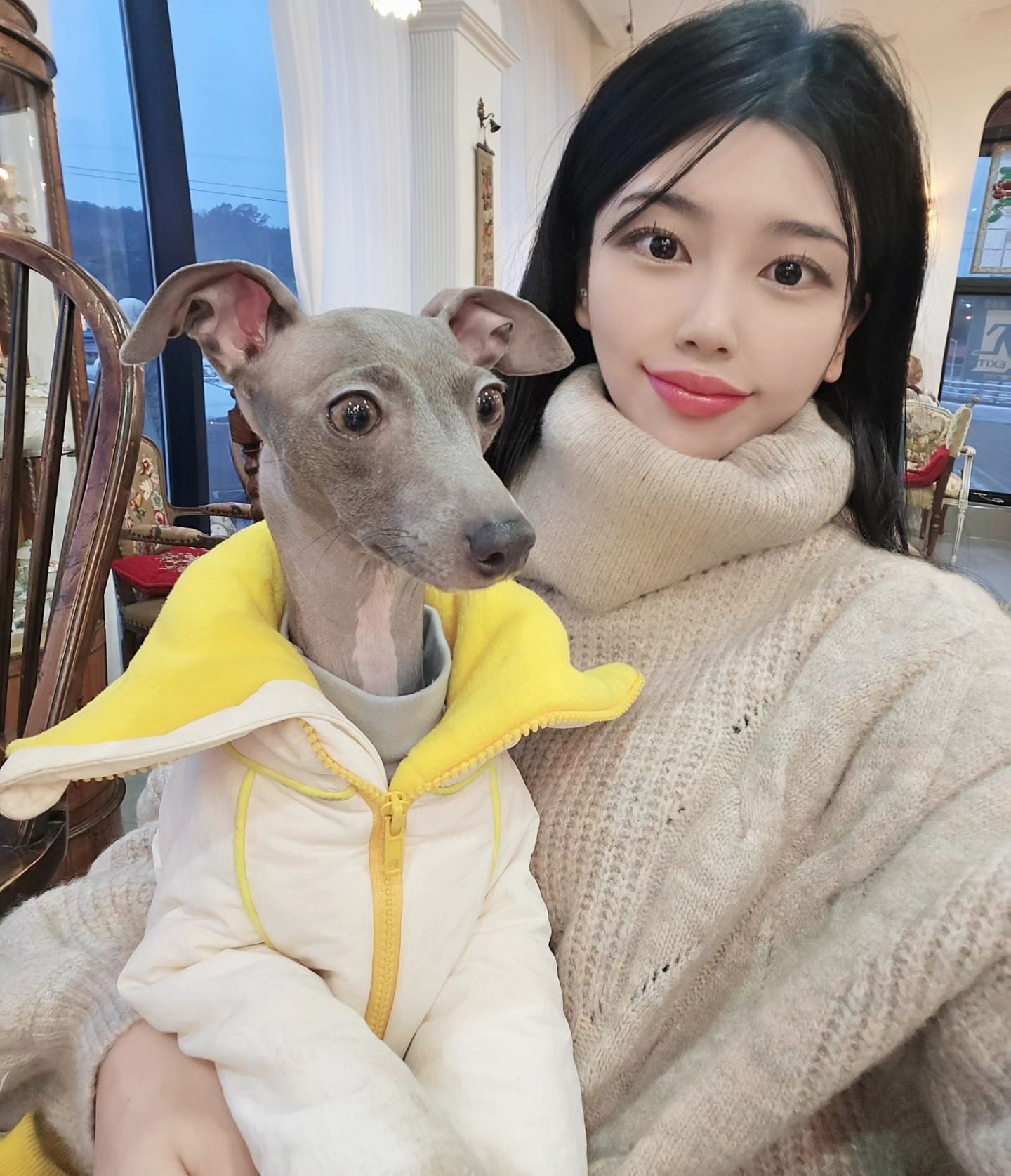 내 똥강아지랑 첫 크리스마스🎄