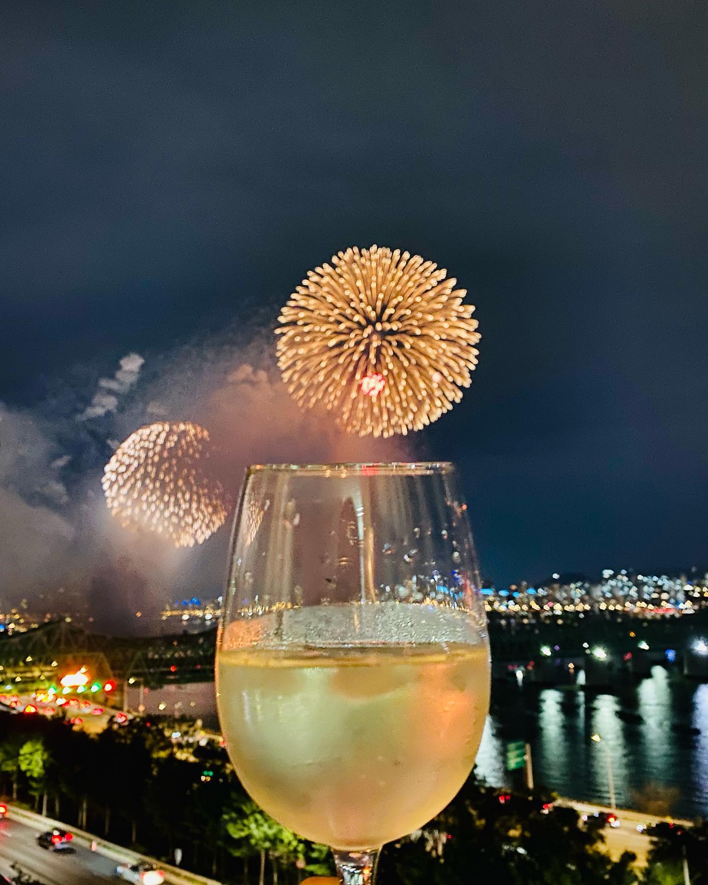 Old friend, wine and #서울세계불꽃축제2023 Chilled Russian jack went really well with apple mango what a nice pair!
#russianjacksauvignonblanc #노들섬 #한강